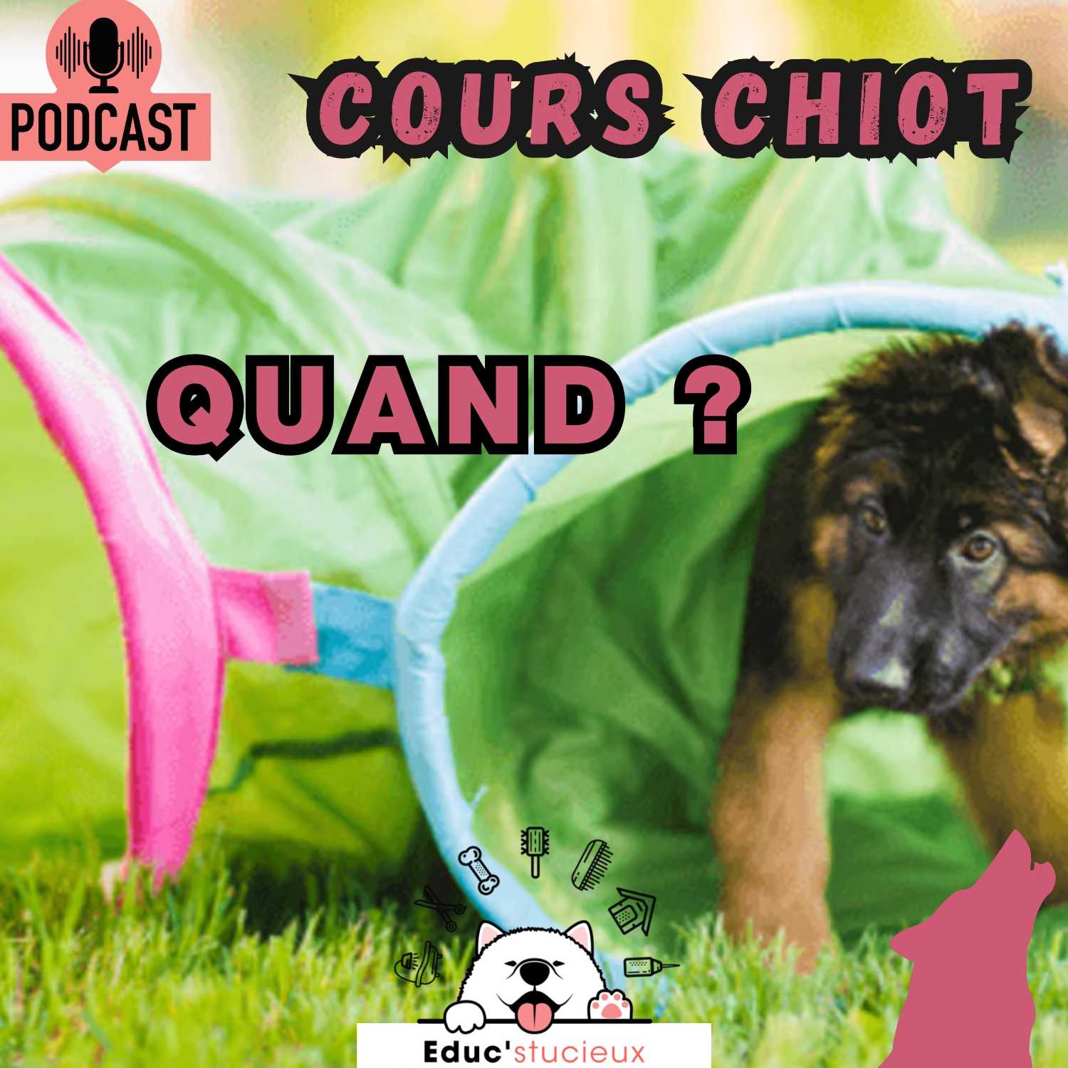 Les chiens - Cani Curieux - By Centre Canin Éduc\'stucieux