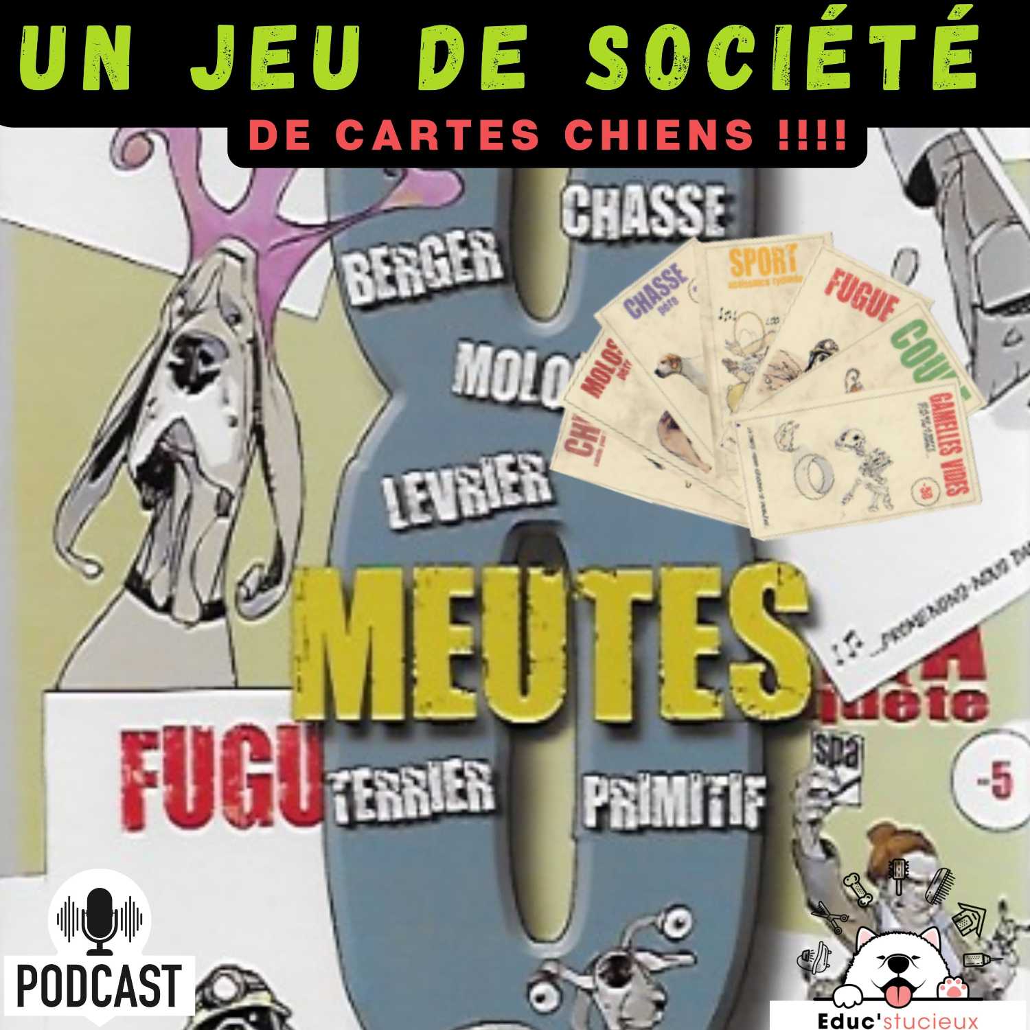 Les chiens - Cani Curieux - By Centre Canin Éduc\'stucieux