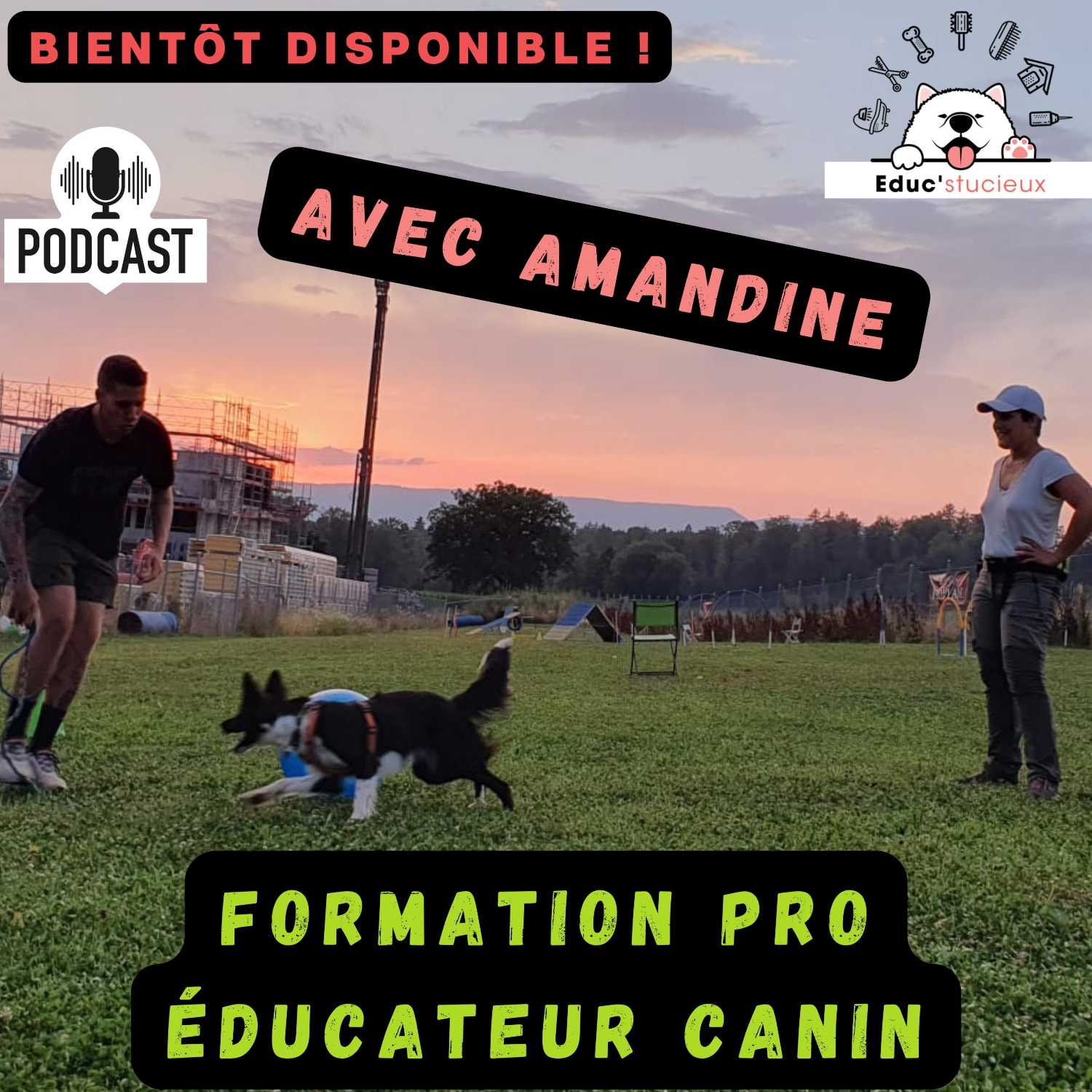 Les chiens - Cani Curieux - By Centre Canin Éduc\'stucieux