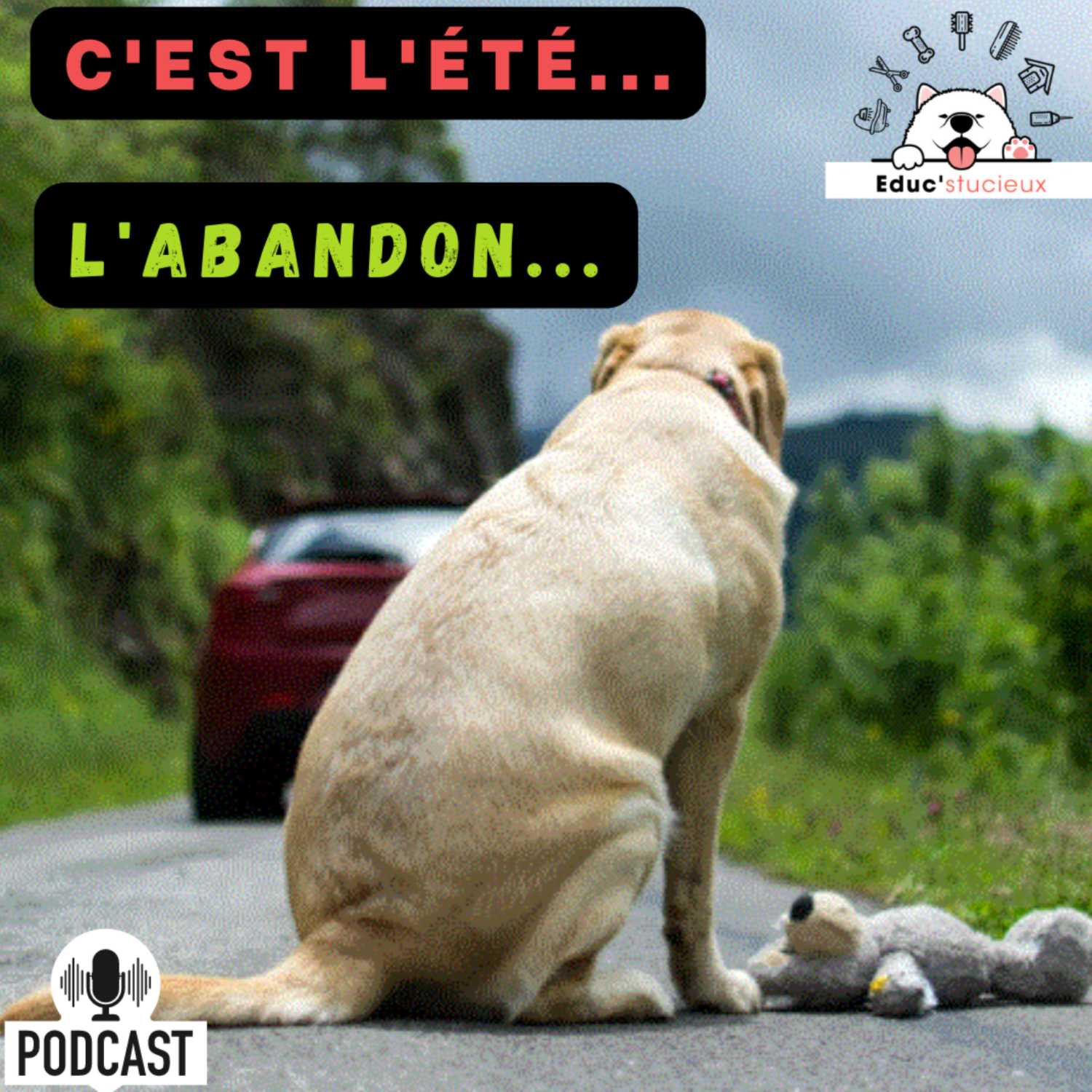 Les chiens - Cani Curieux - By Centre Canin Éduc\'stucieux
