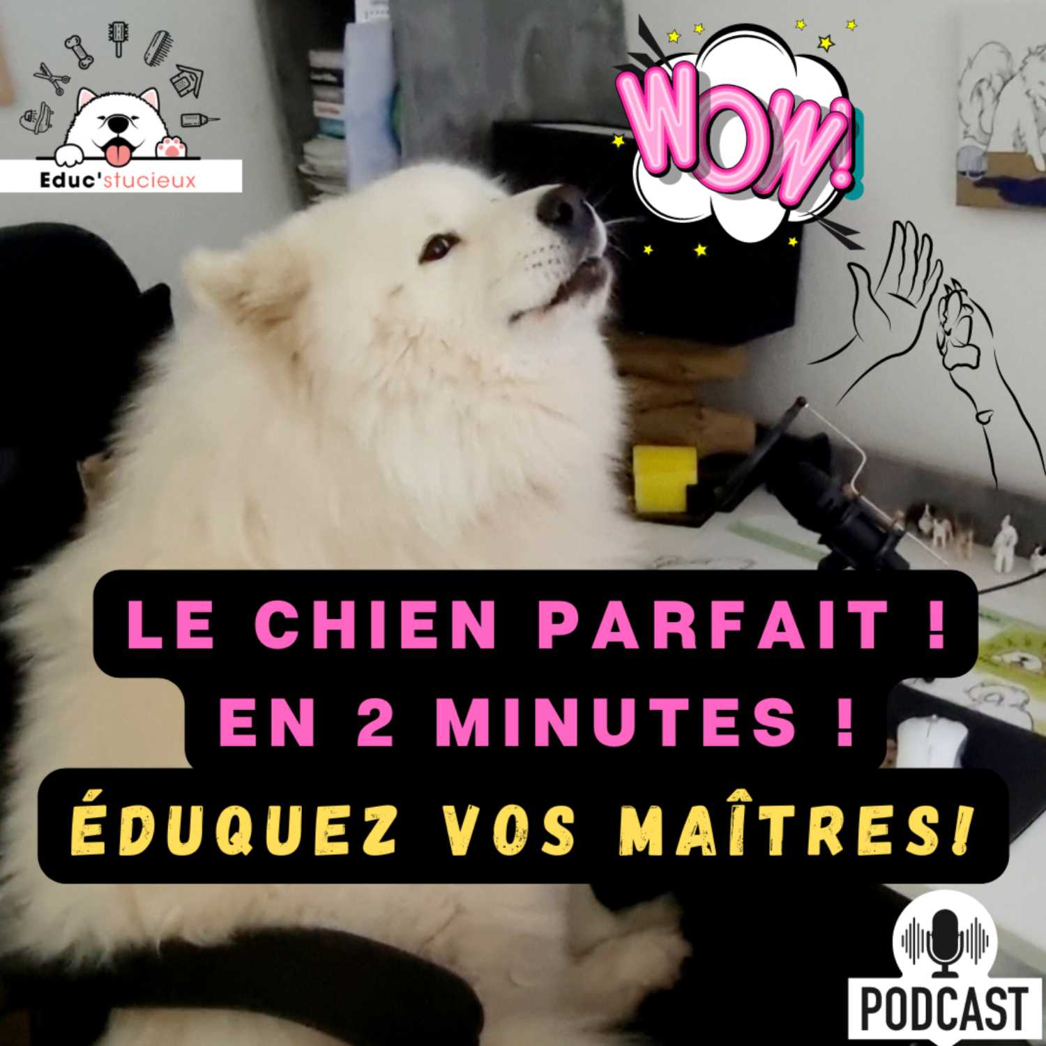 Les chiens - Cani Curieux - By Centre Canin Éduc\'stucieux