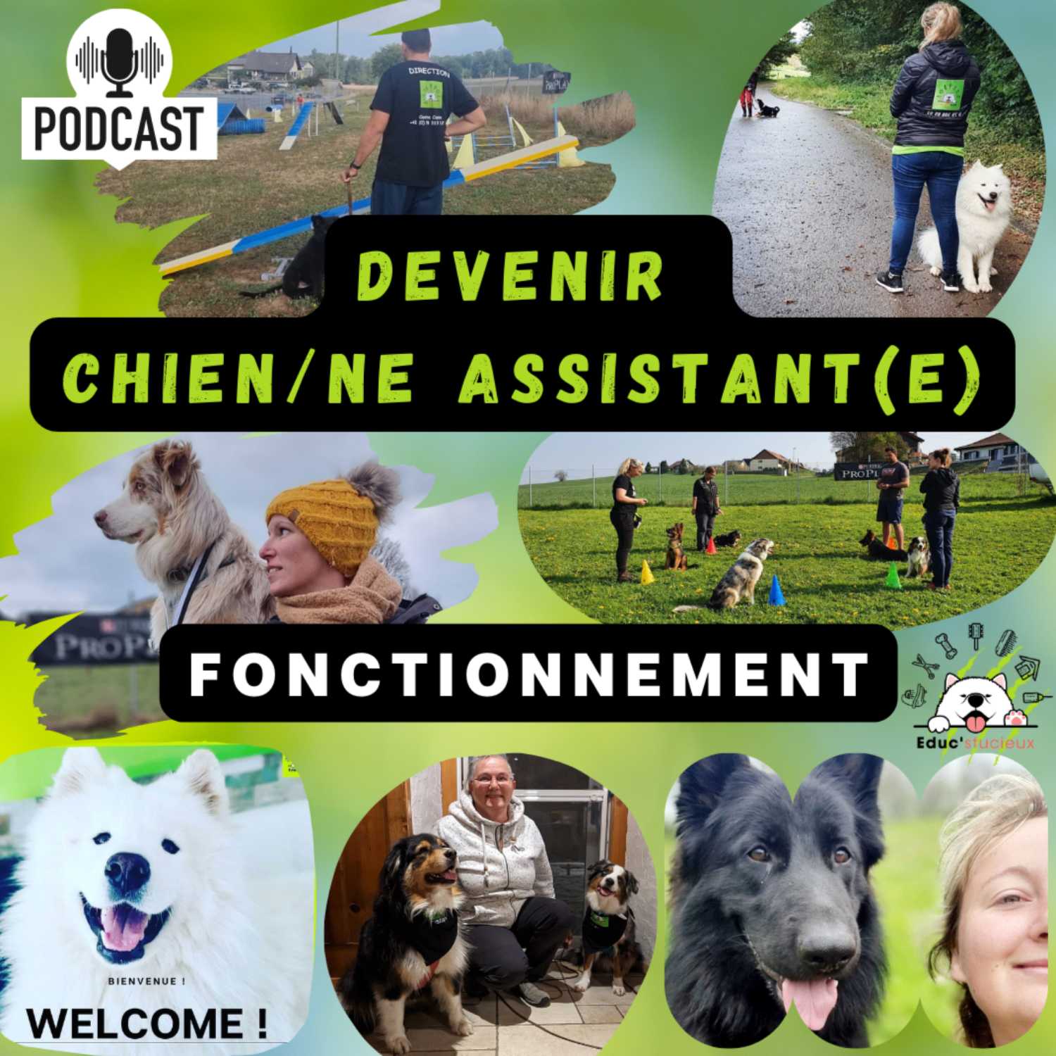 Les chiens - Cani Curieux - By Centre Canin Éduc\'stucieux