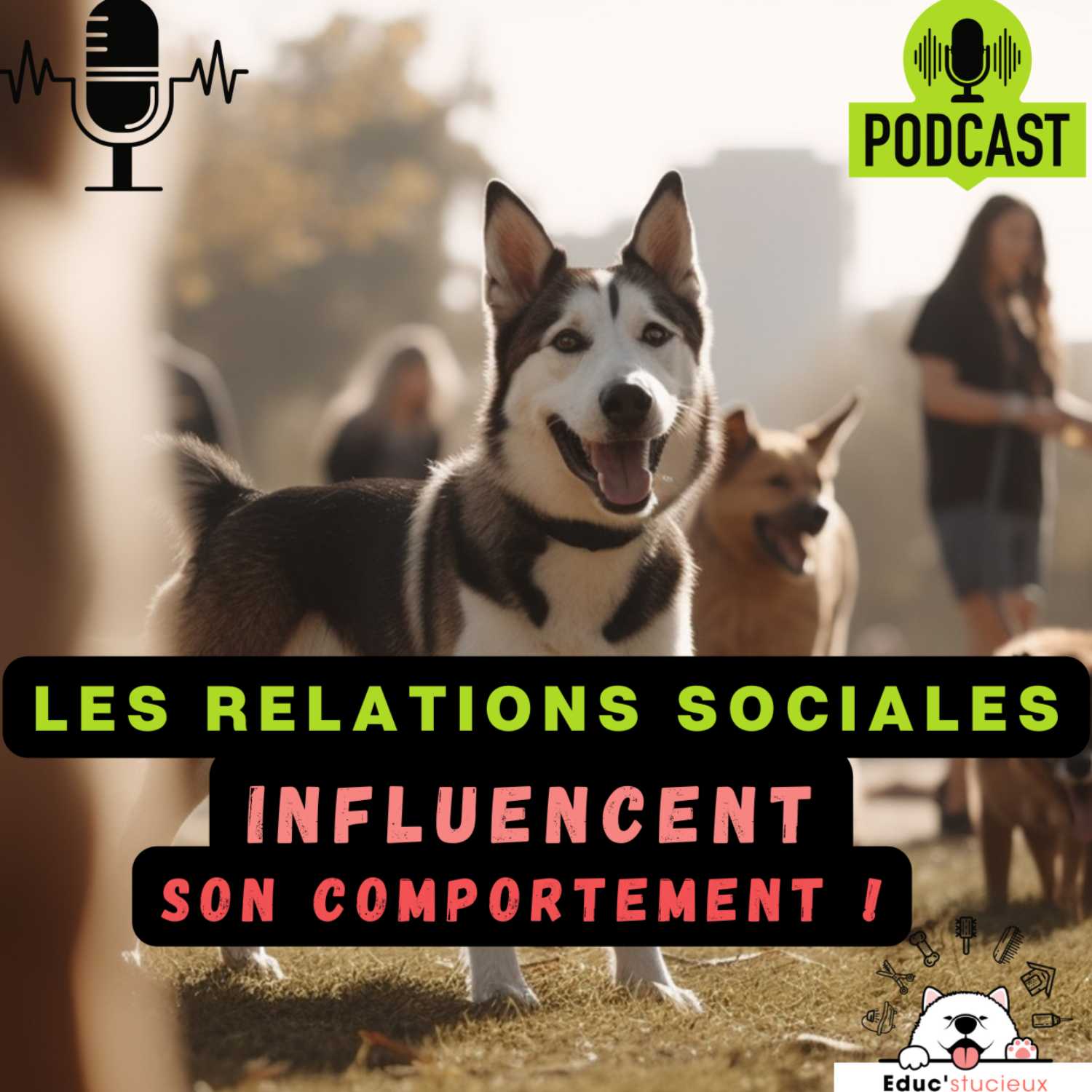 Les chiens - Cani Curieux - By Centre Canin Éduc\'stucieux