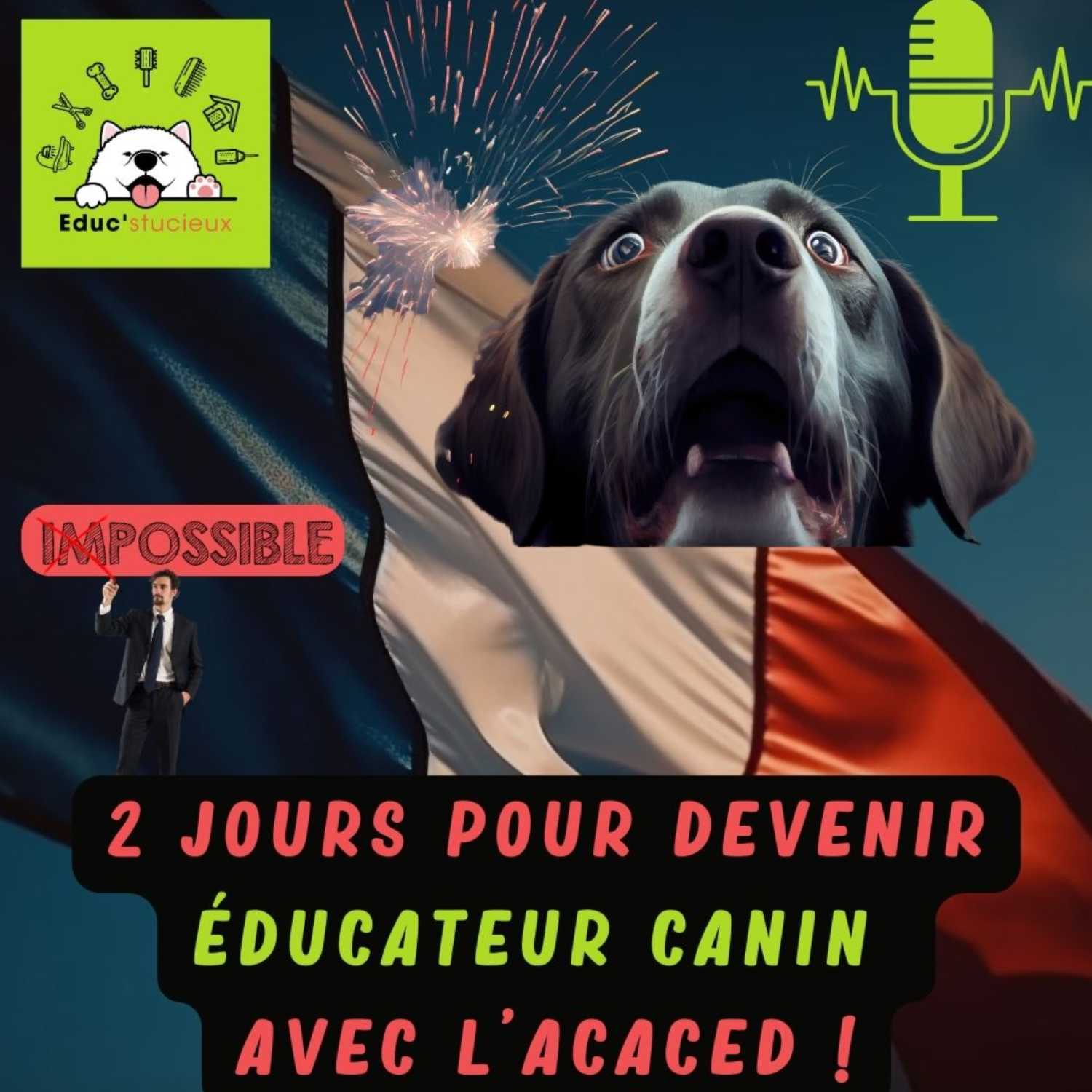 Les chiens - Cani Curieux - By Centre Canin Éduc\'stucieux
