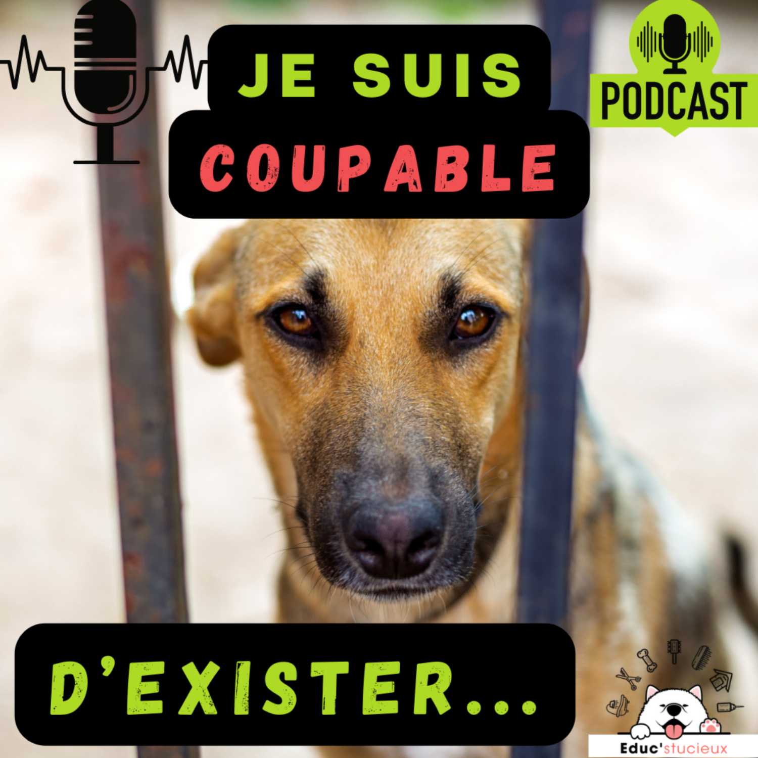 Les chiens - Cani Curieux - By Centre Canin Éduc\'stucieux