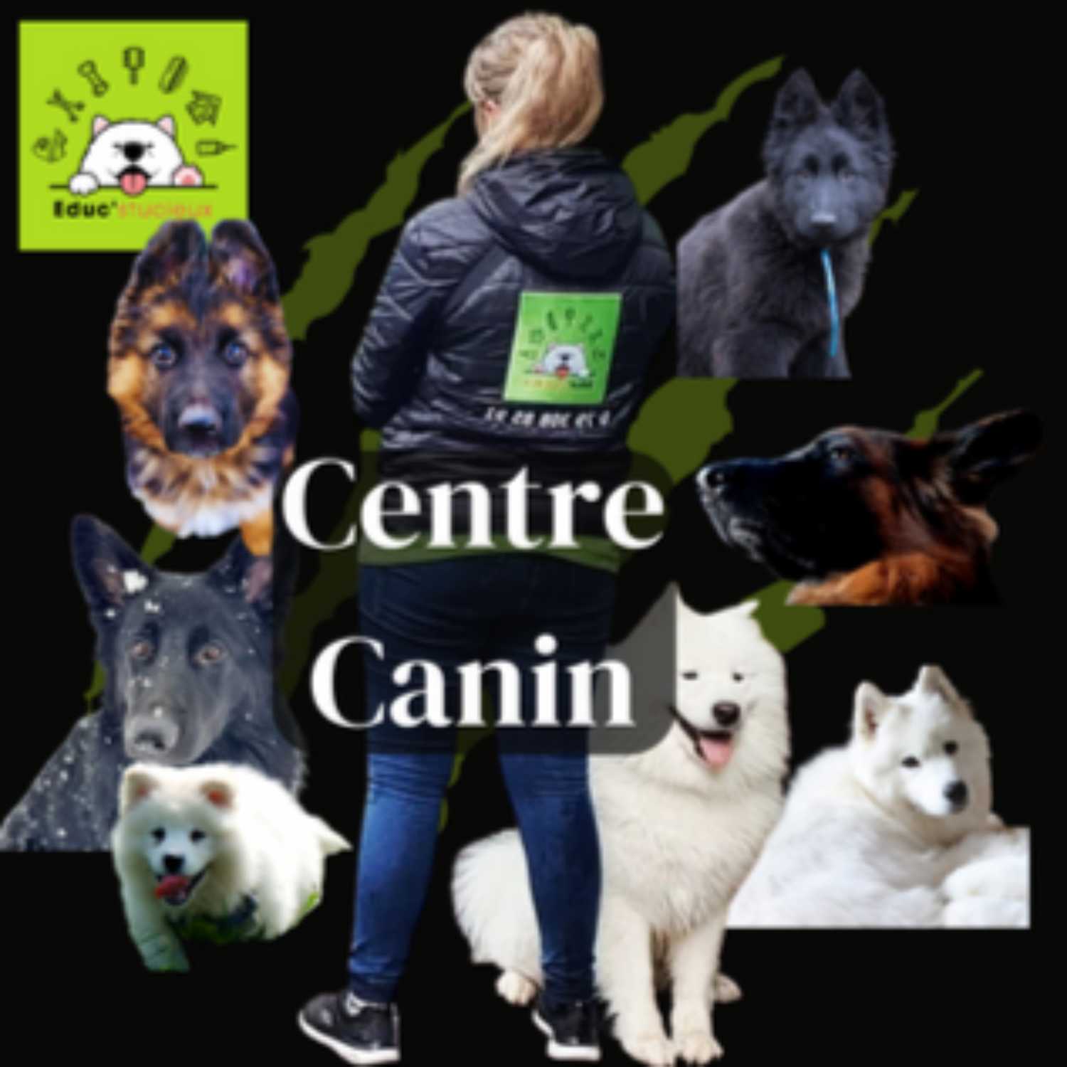 Les chiens - Cani Curieux - By Centre Canin Éduc\'stucieux
