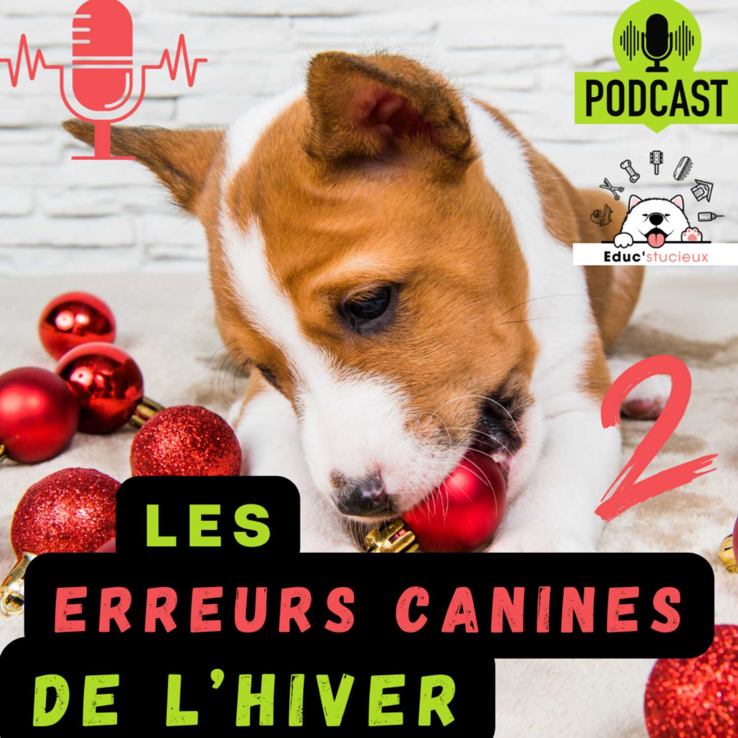 Les chiens - Cani Curieux - By Centre Canin Éduc\'stucieux