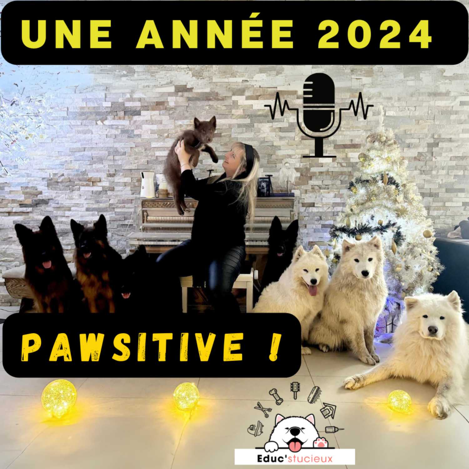 Les chiens - Cani Curieux - By Centre Canin Éduc\'stucieux