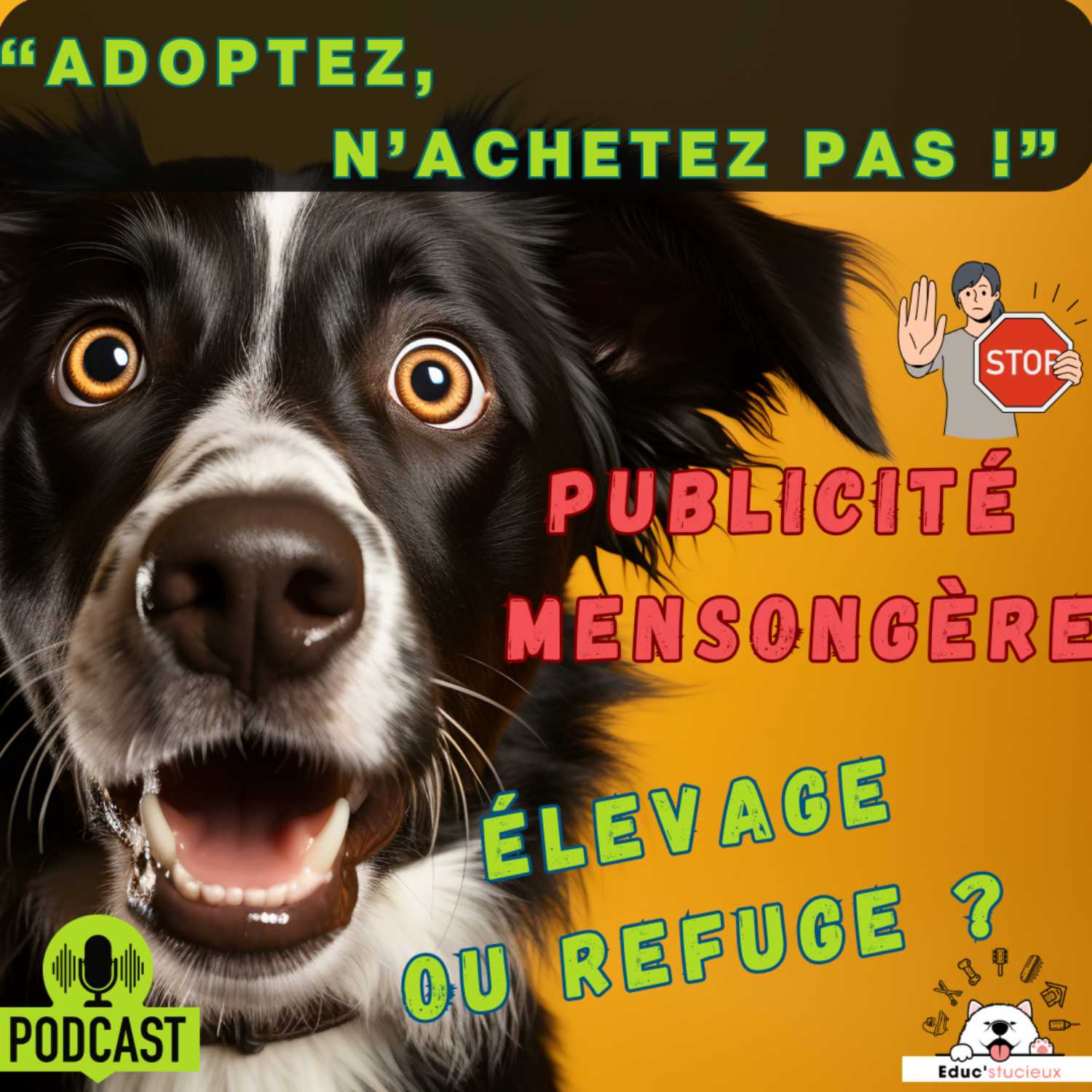 Les chiens - Cani Curieux - By Centre Canin Éduc\'stucieux