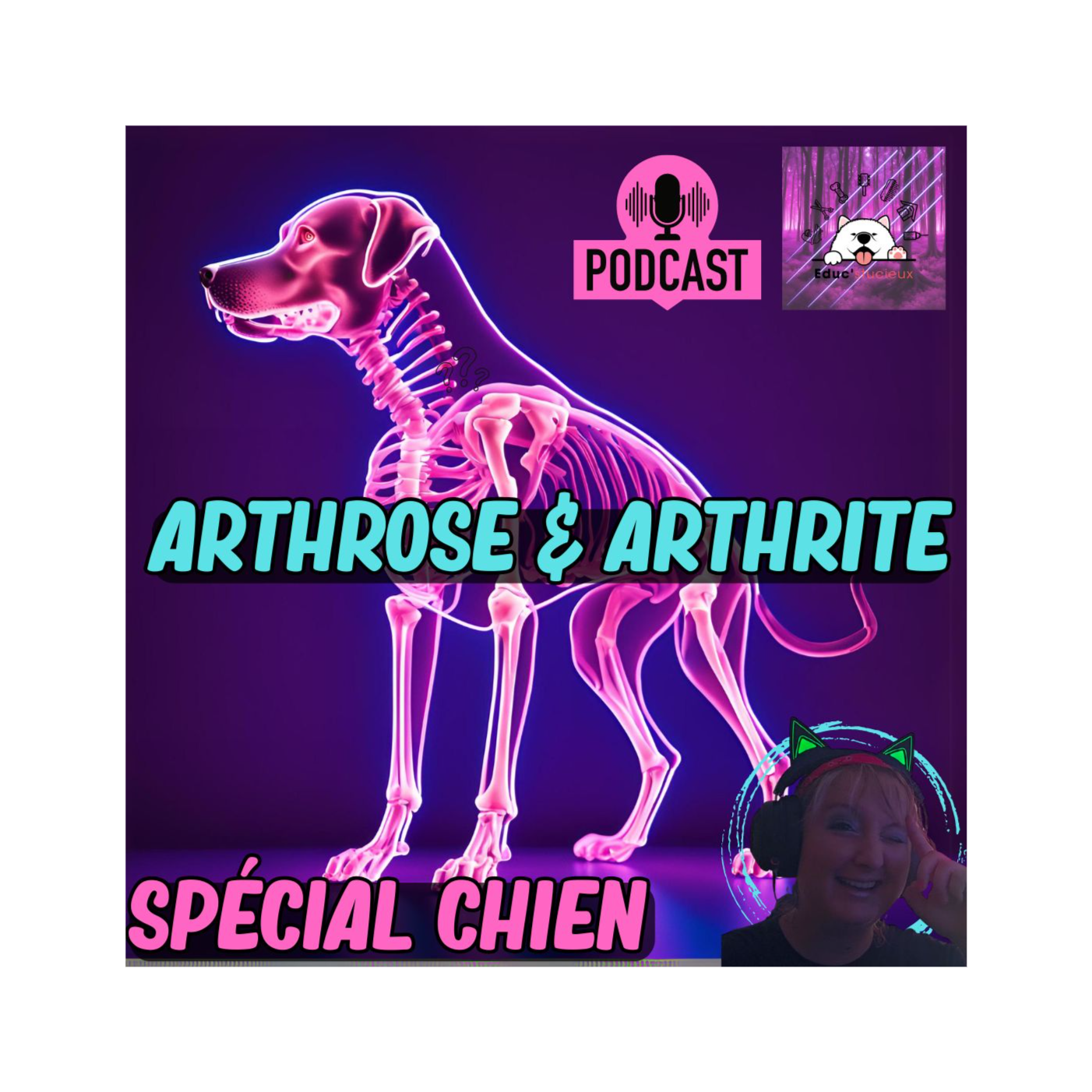 L’Arthrose et l’Arthrite chez le Chien : Symptômes, Traitements et Conseils Pratiques.