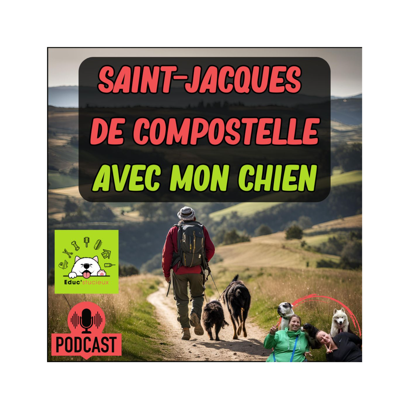 Saint-Jacques de Compostelle : Aventurez-vous sur le chemin avec votre Chien !
