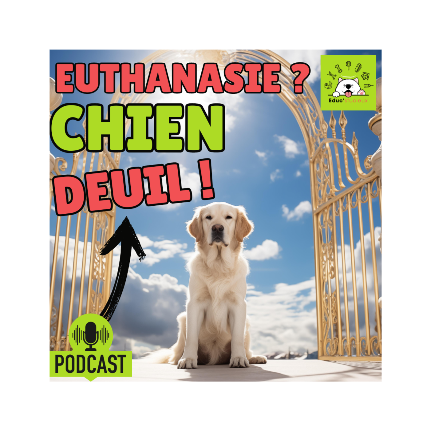 Le deuil d’un chien et l’euthanasie – Rediffusion en podcast