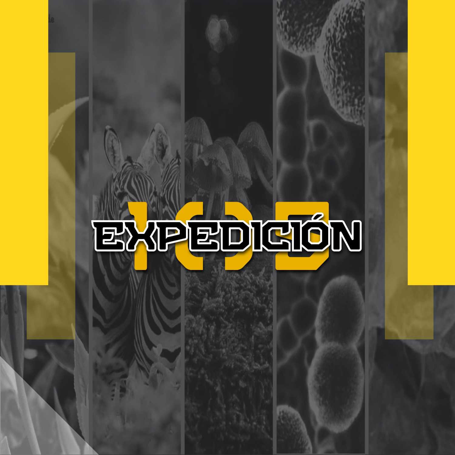 Los Reinos de los Seres Vivos