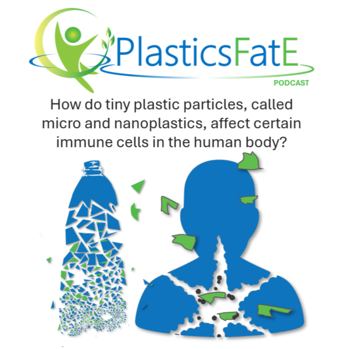How tiny plastic particles can affect our immune cells episode artwork