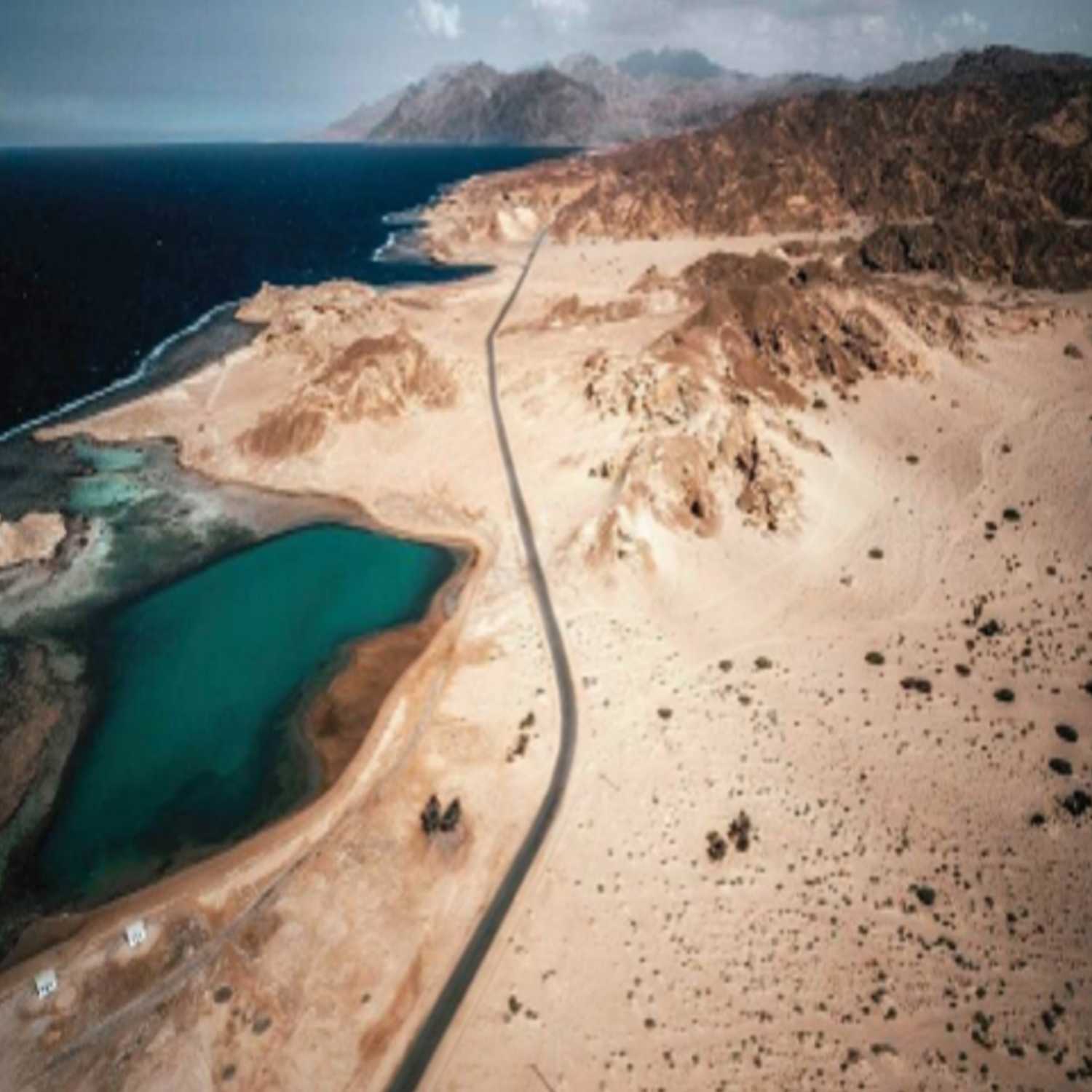 نيوم وشركة Van Der Hoeven .. خلق مناخ اصطناعي للزراعة الصحراوية السعودية