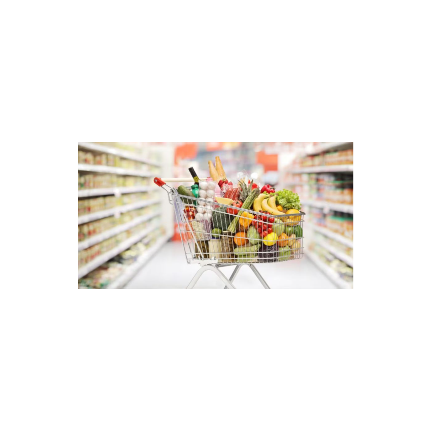 استقرار أسعار الغذاء العالمية في مارس 2025