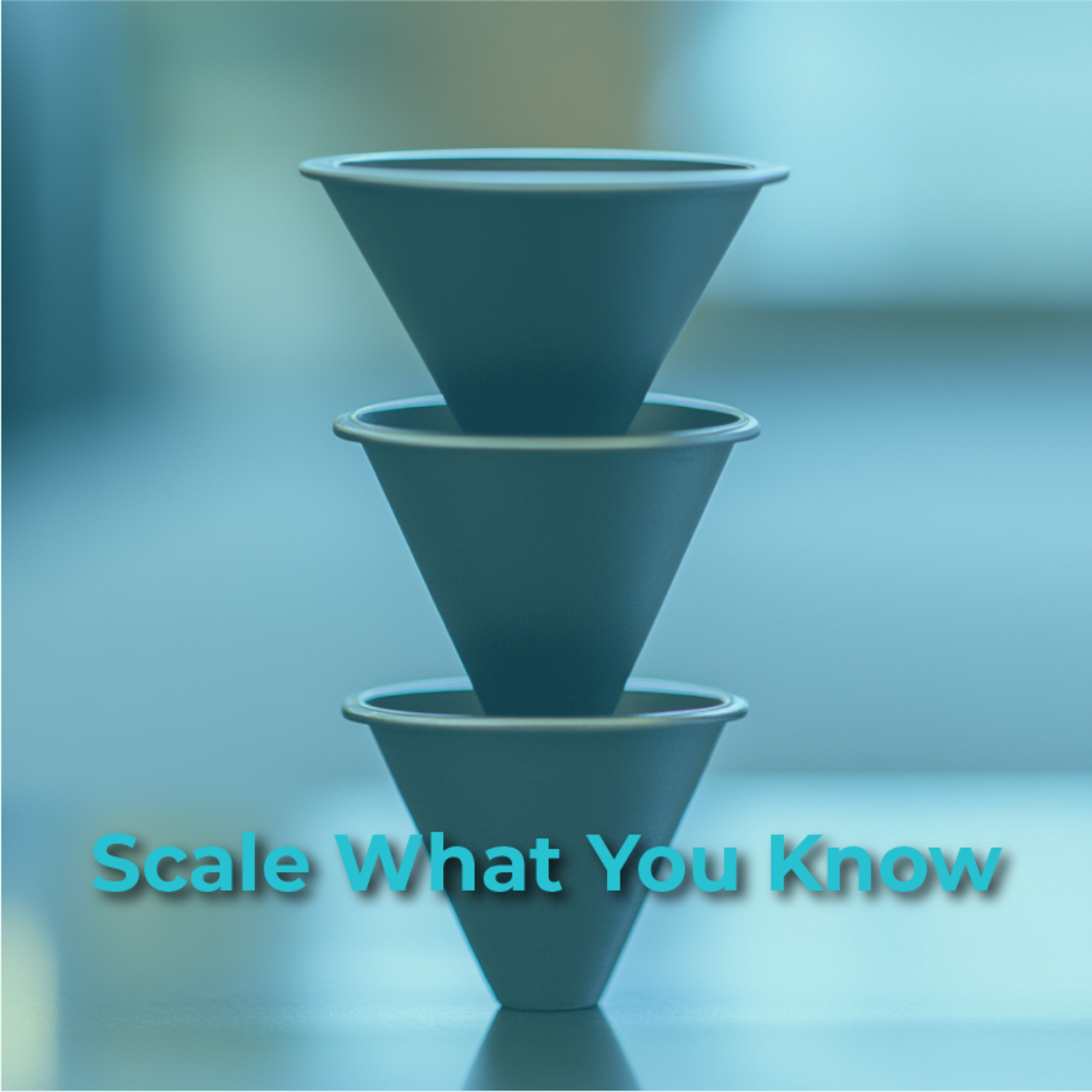 The Science of Selling Online: Optimizing Your Sales Funnel