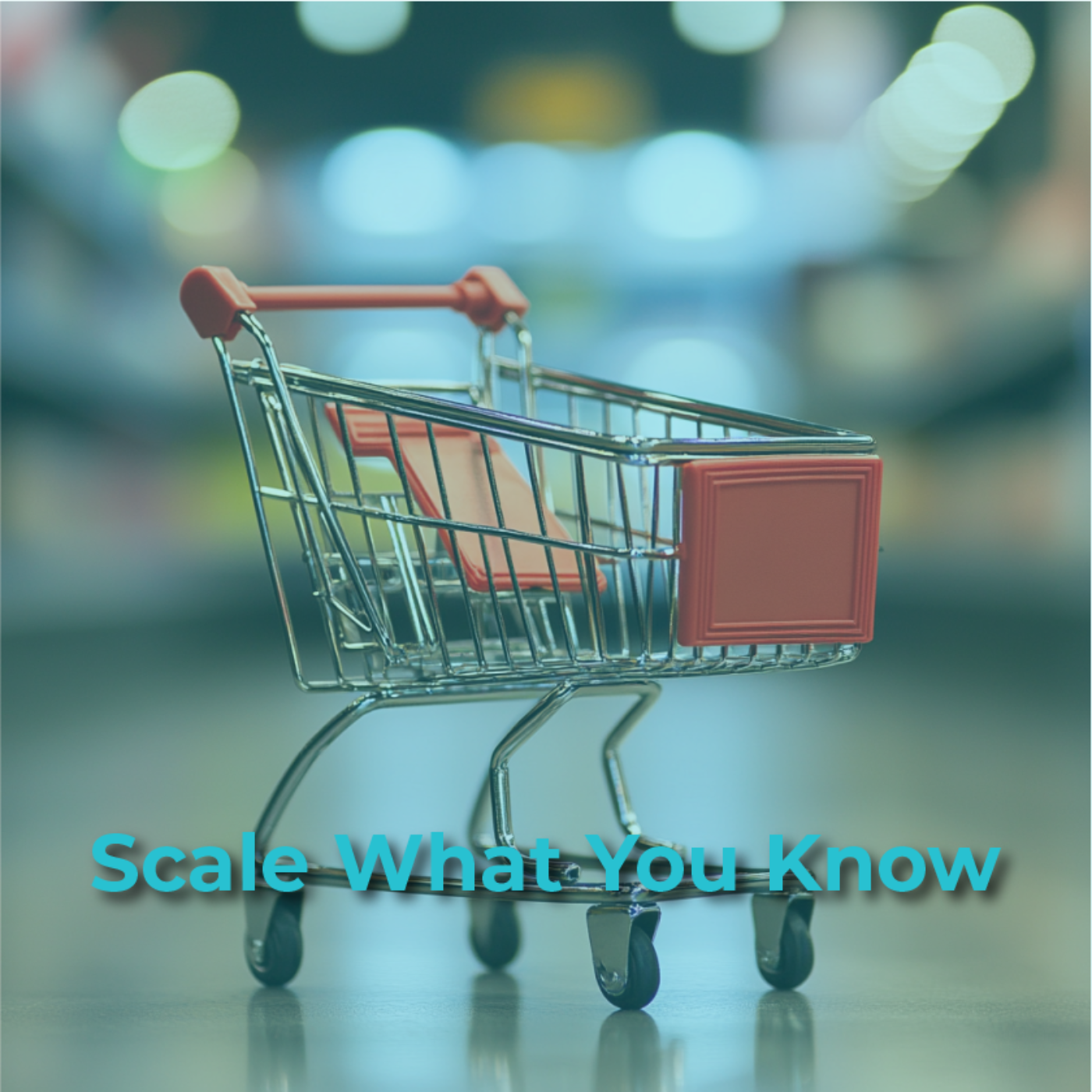 Making it Easy to Buy: Optimizing the Customer Experience