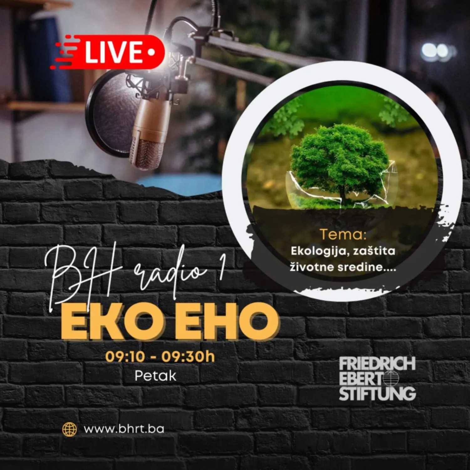 Eko Eho