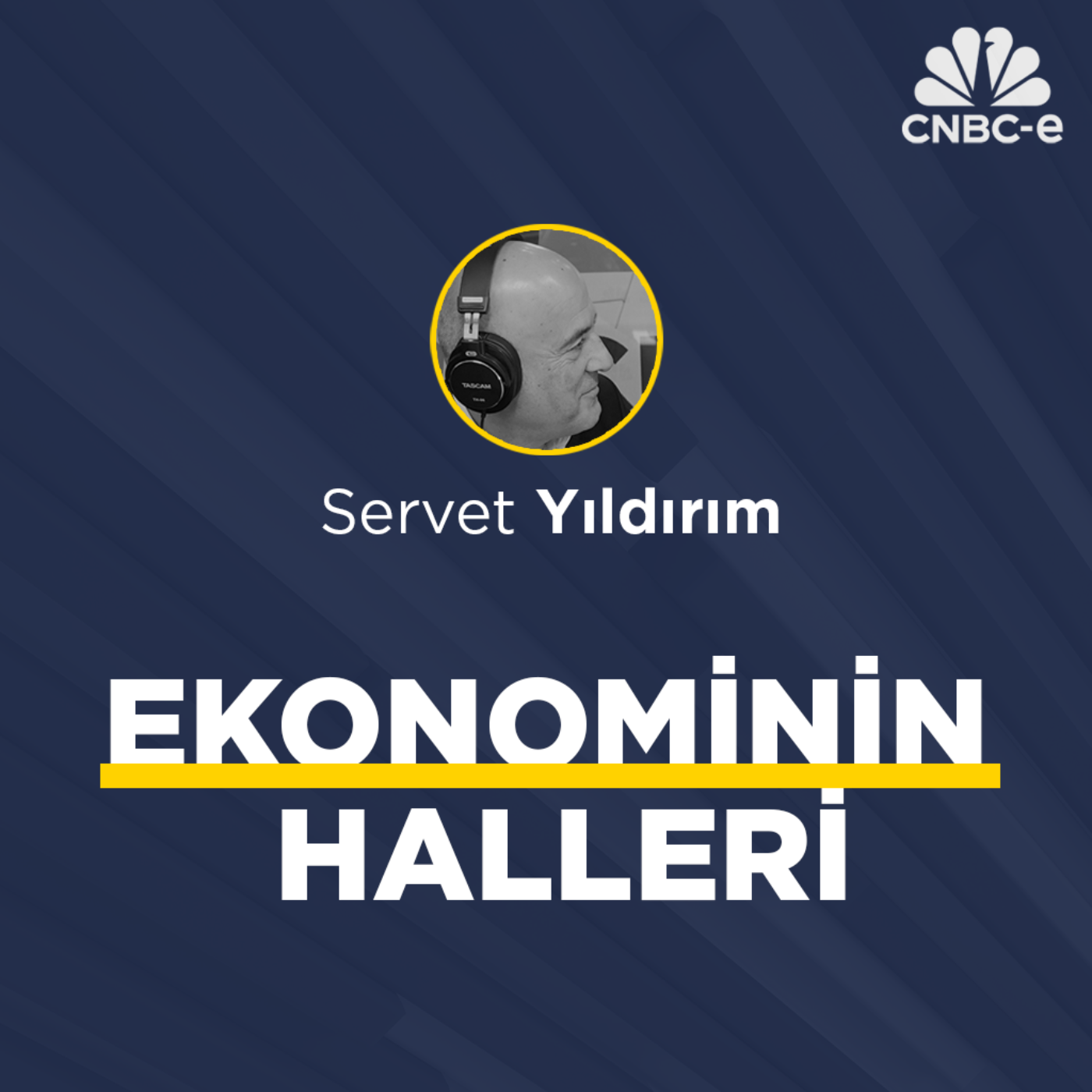 Ekonominin Halleri