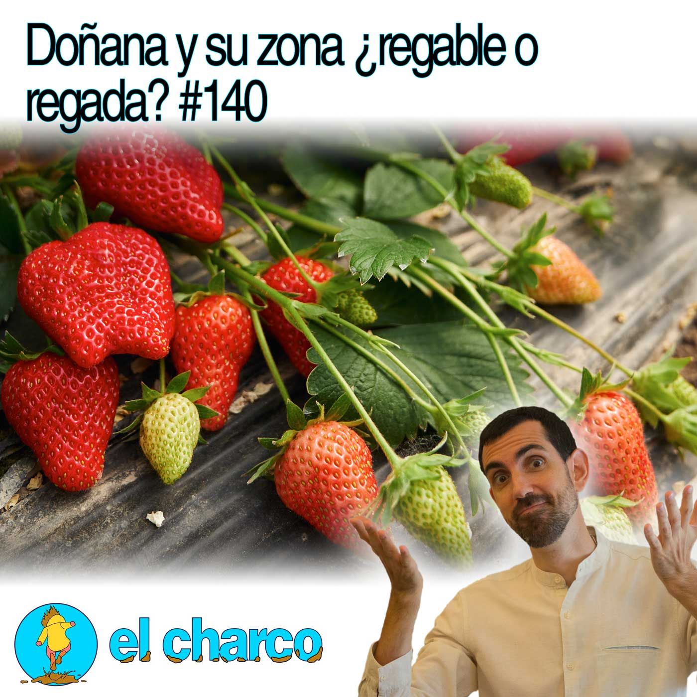 el charco