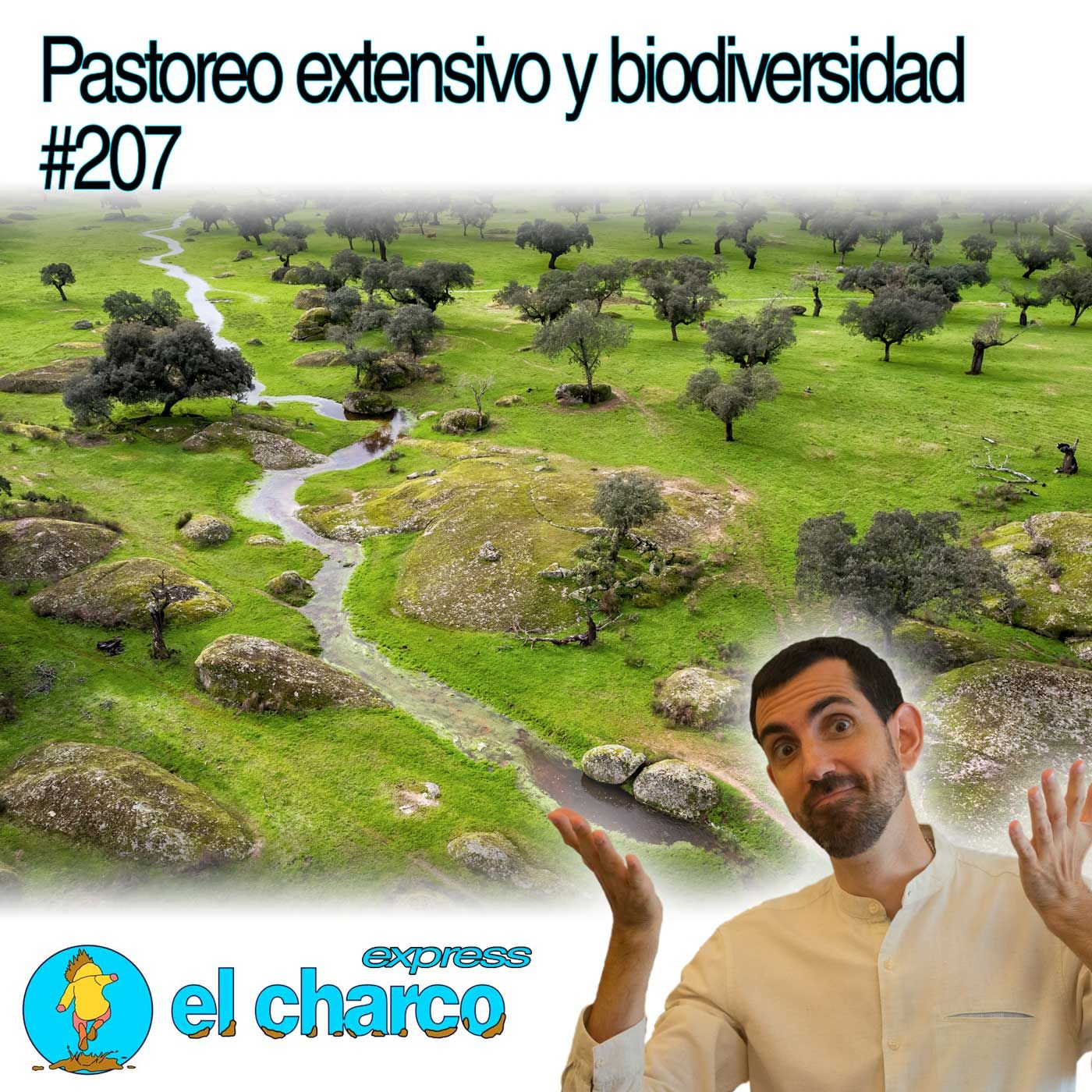 el charco