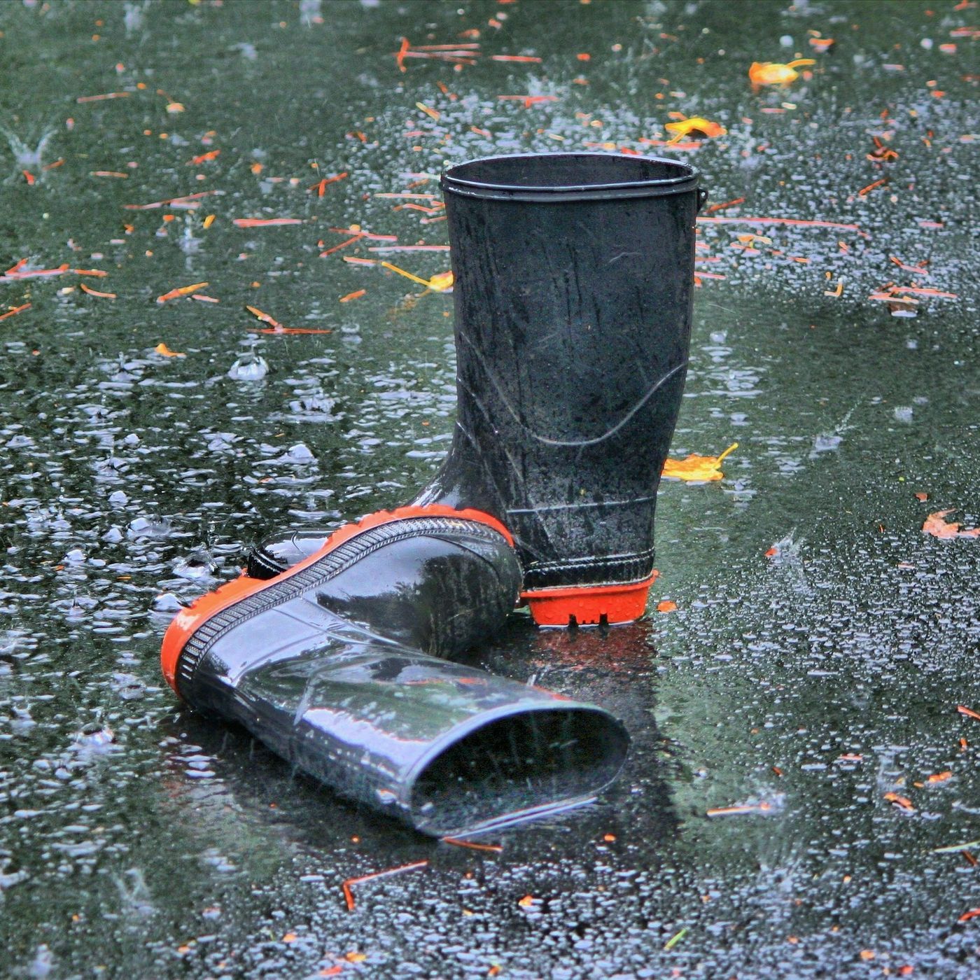 el charco