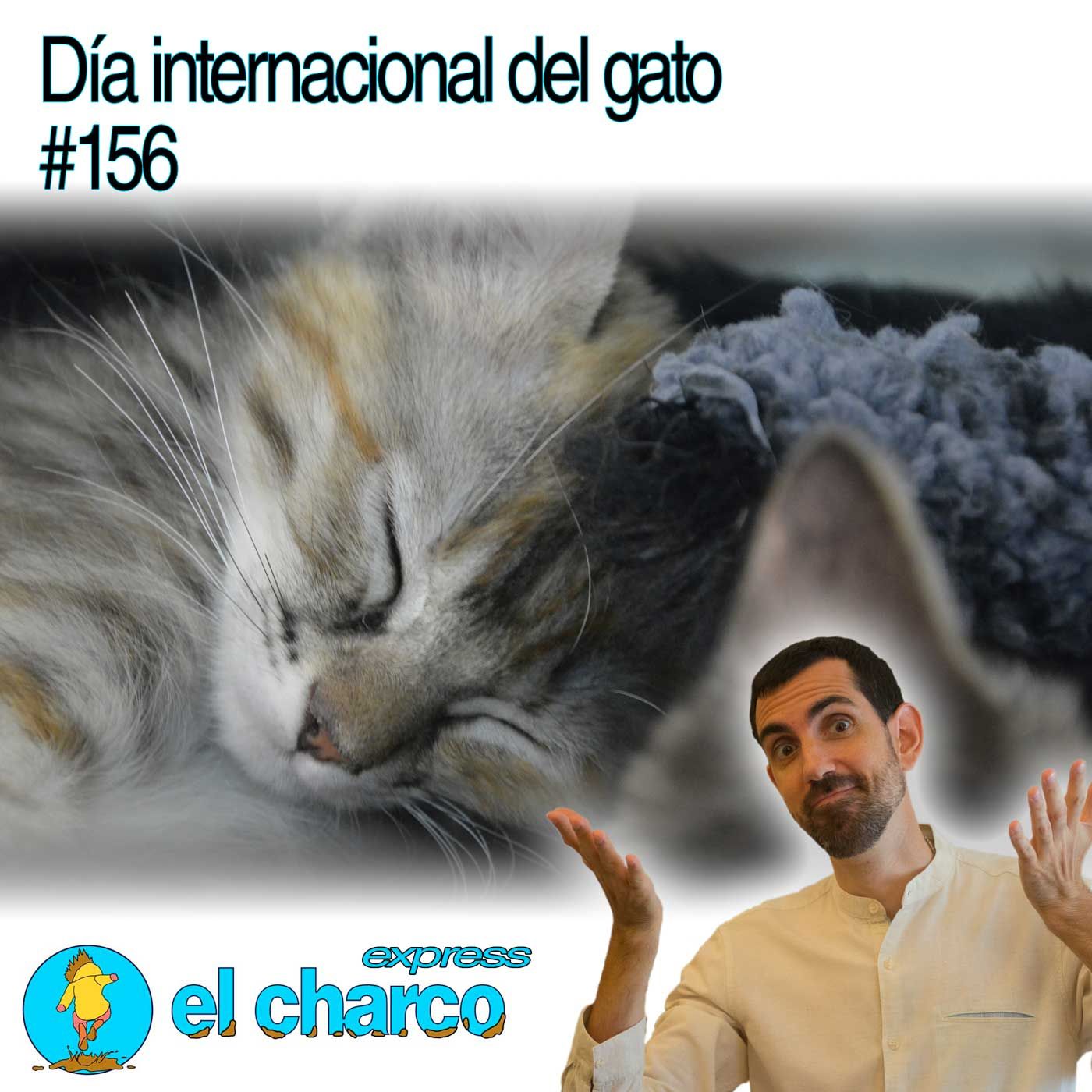 el charco