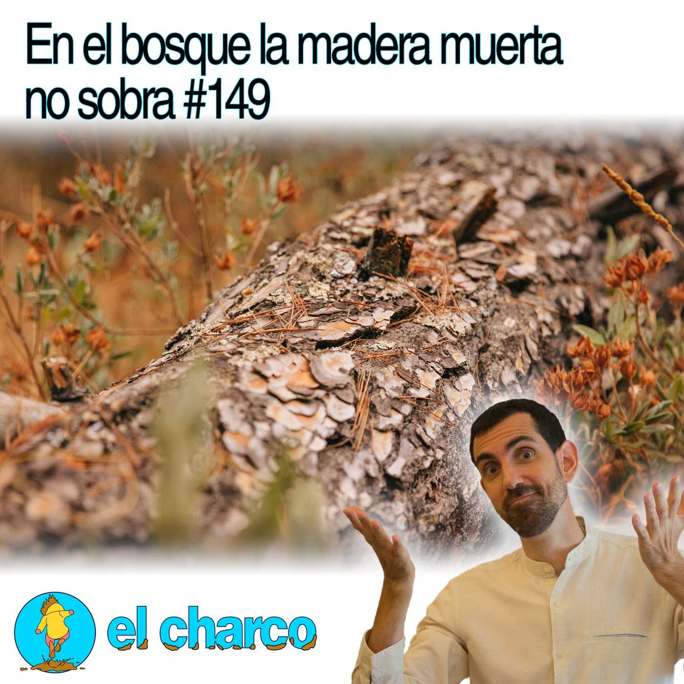 el charco