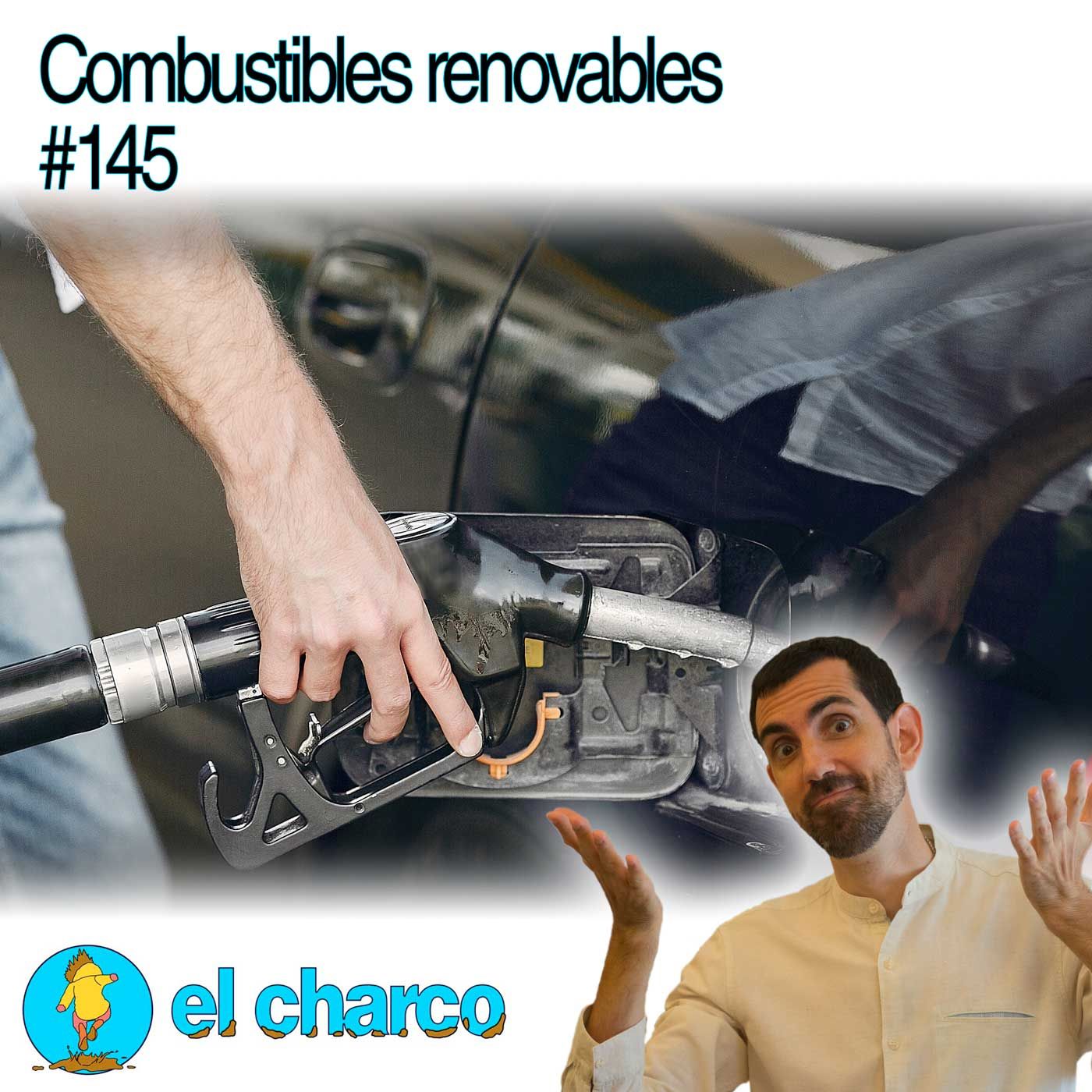 el charco