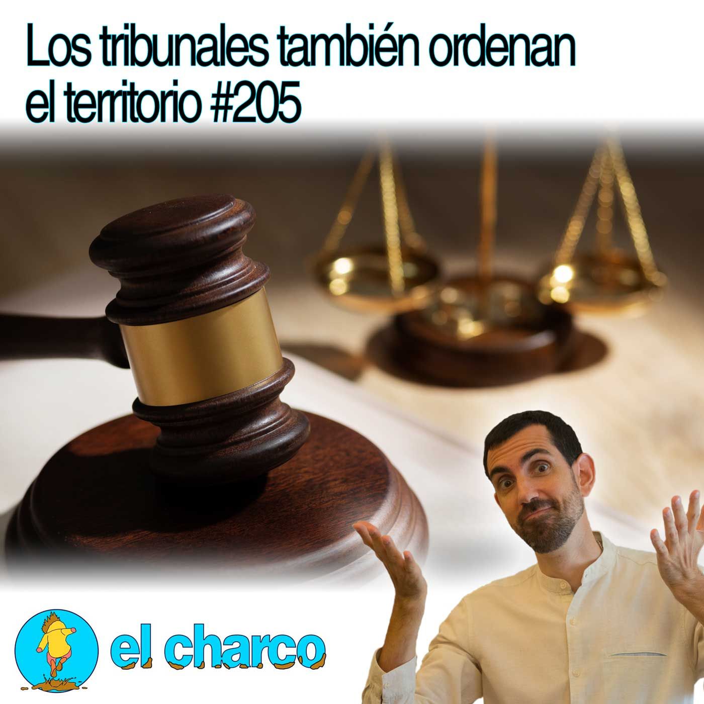el charco