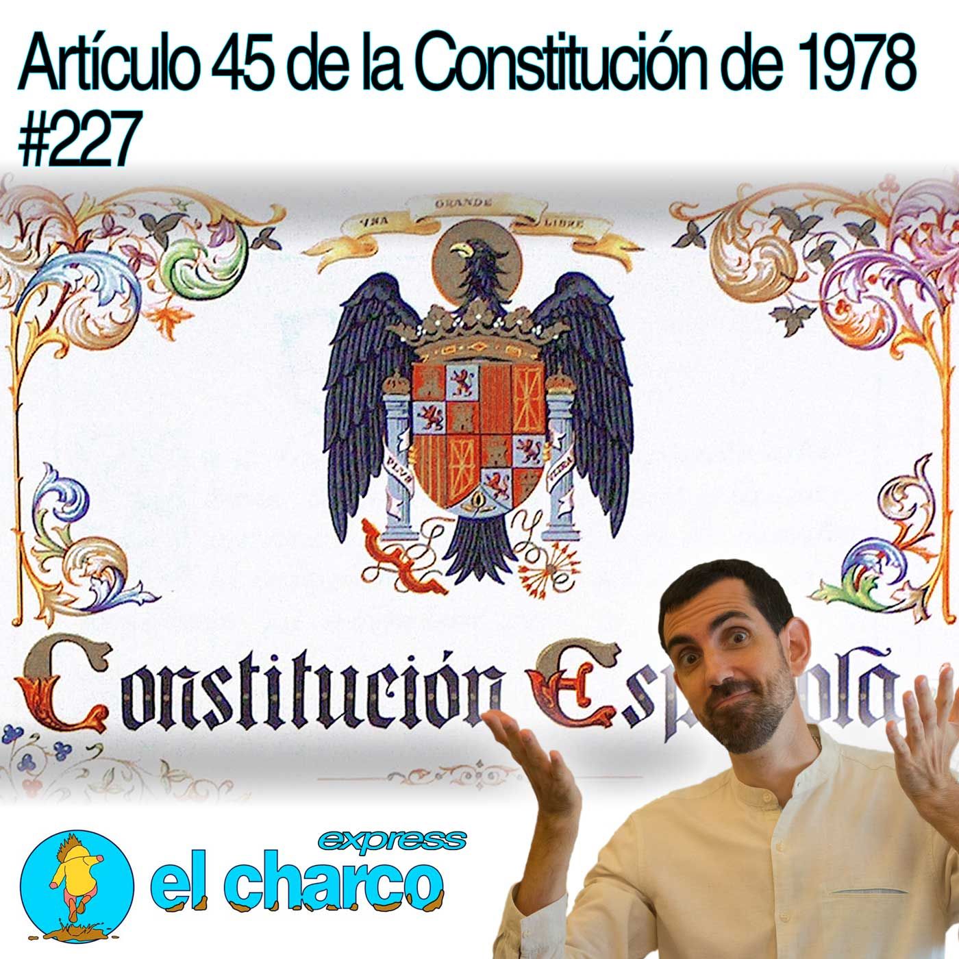 el charco