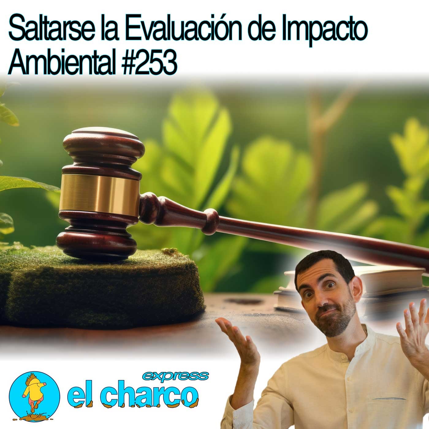el charco