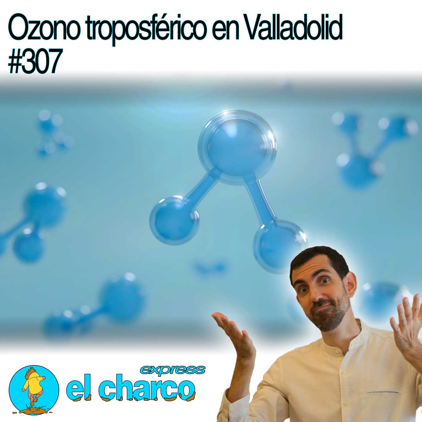 el charco