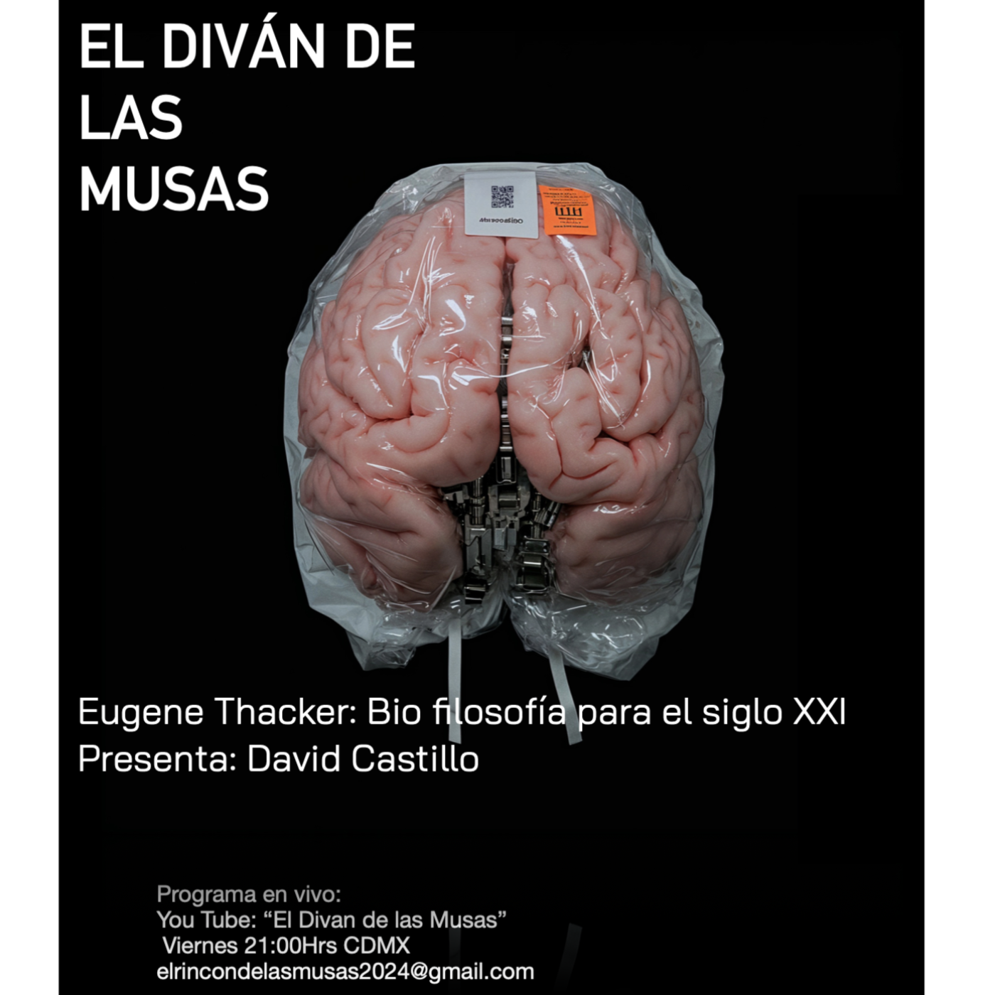 Piloto EL DIVAN DE LAS MUSAS 