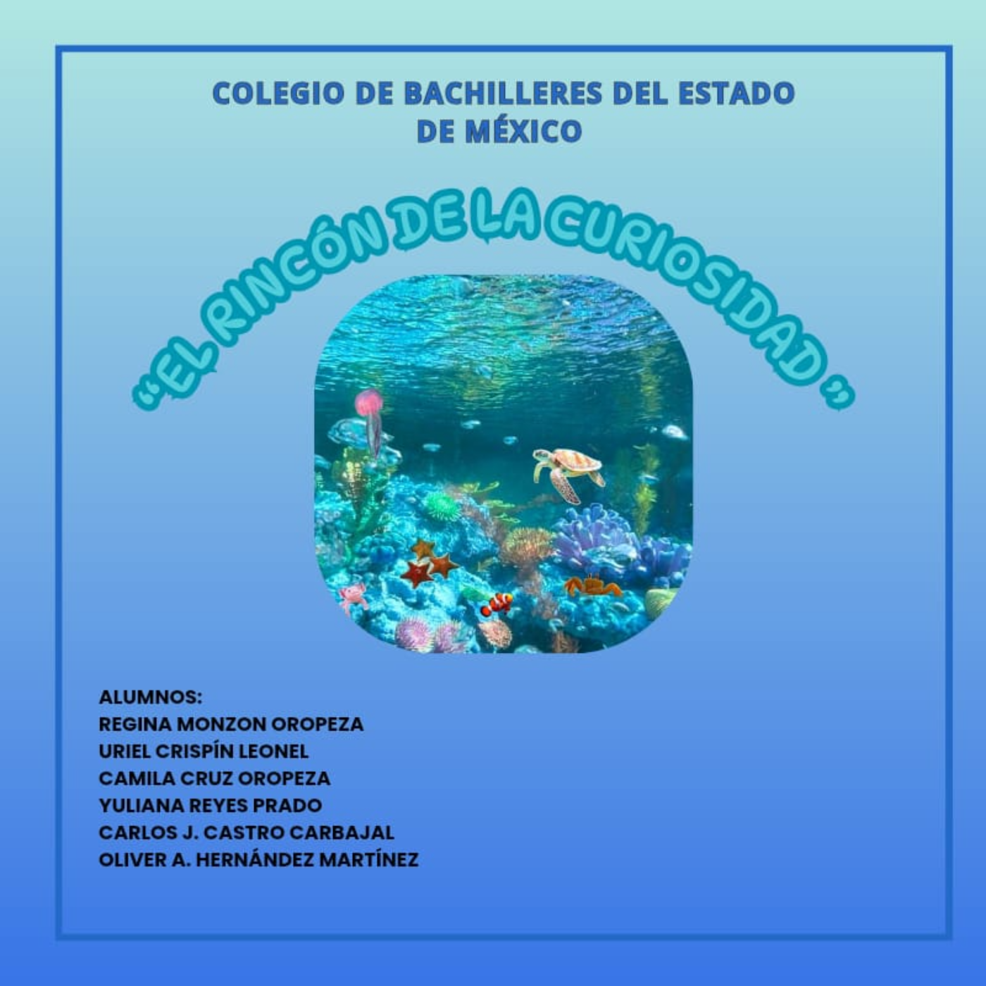 El rincon de la curiosidad