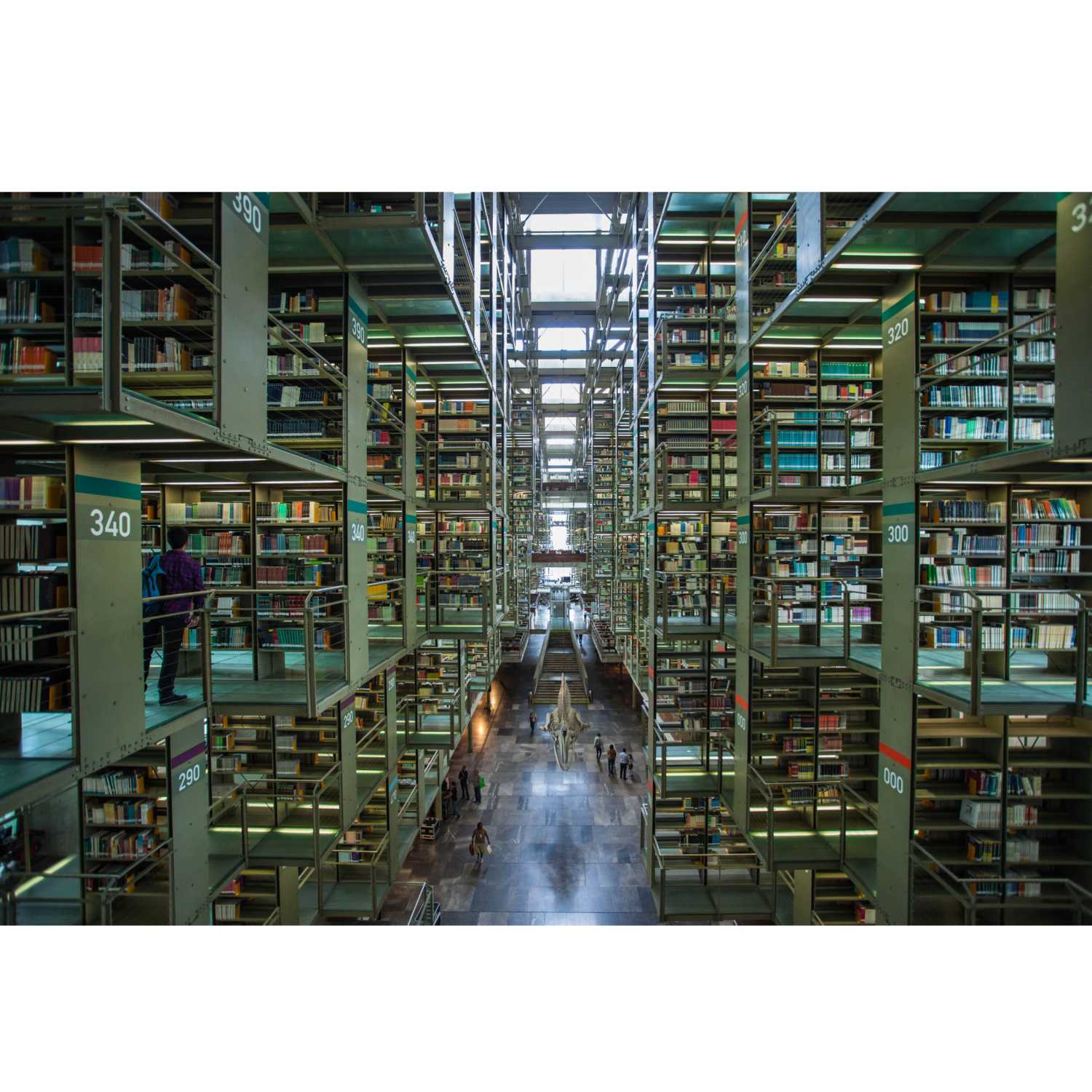 La biblioteca invisible