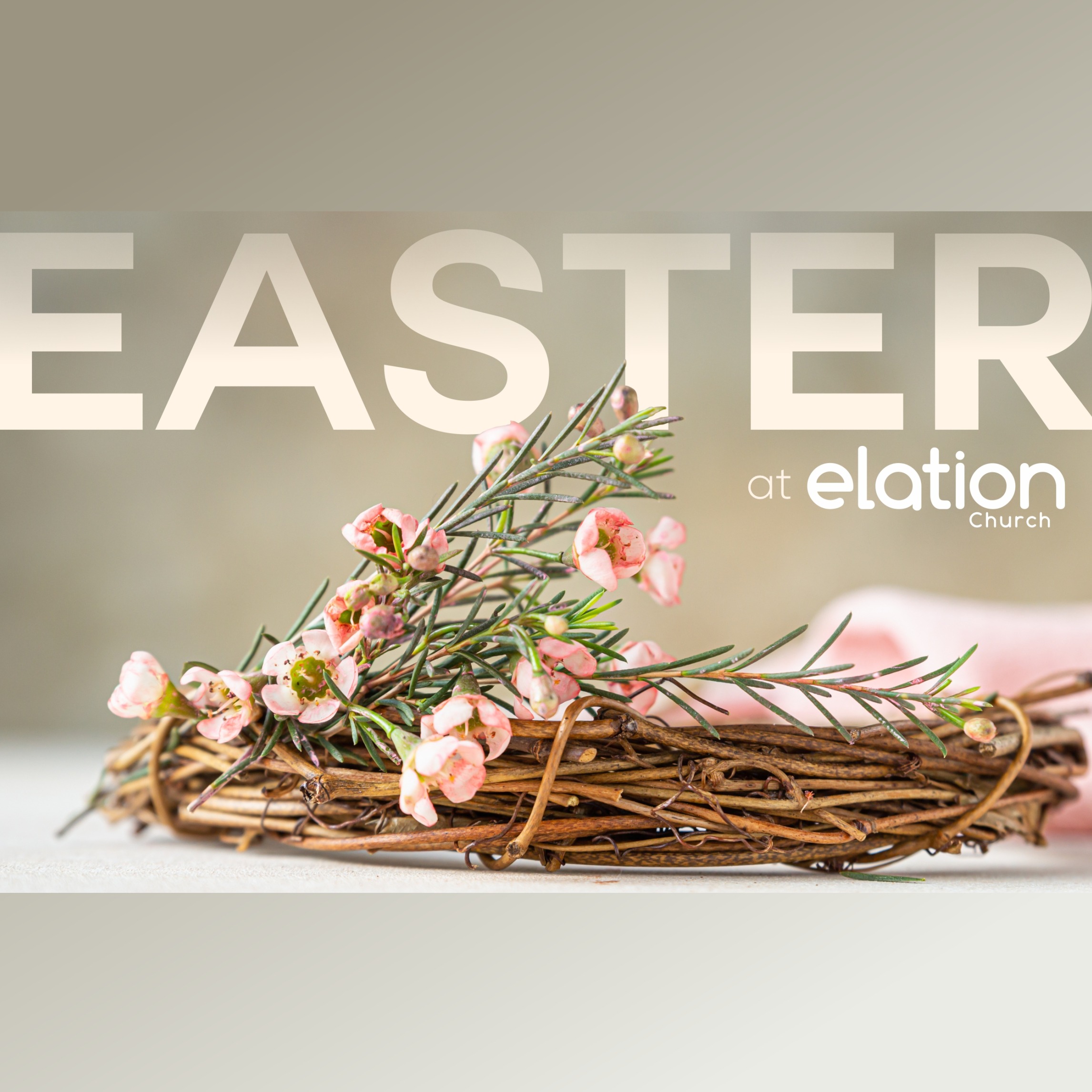 Elation Church
