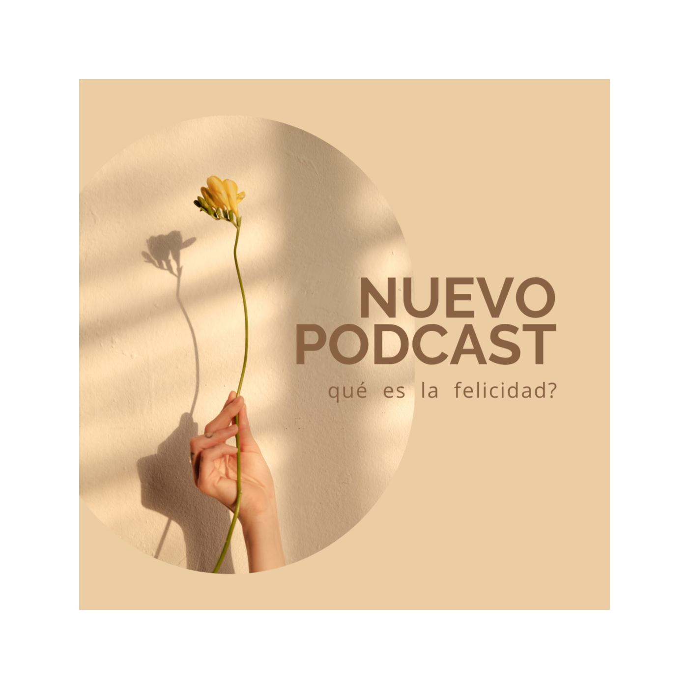 en búsqueda de la felicidad