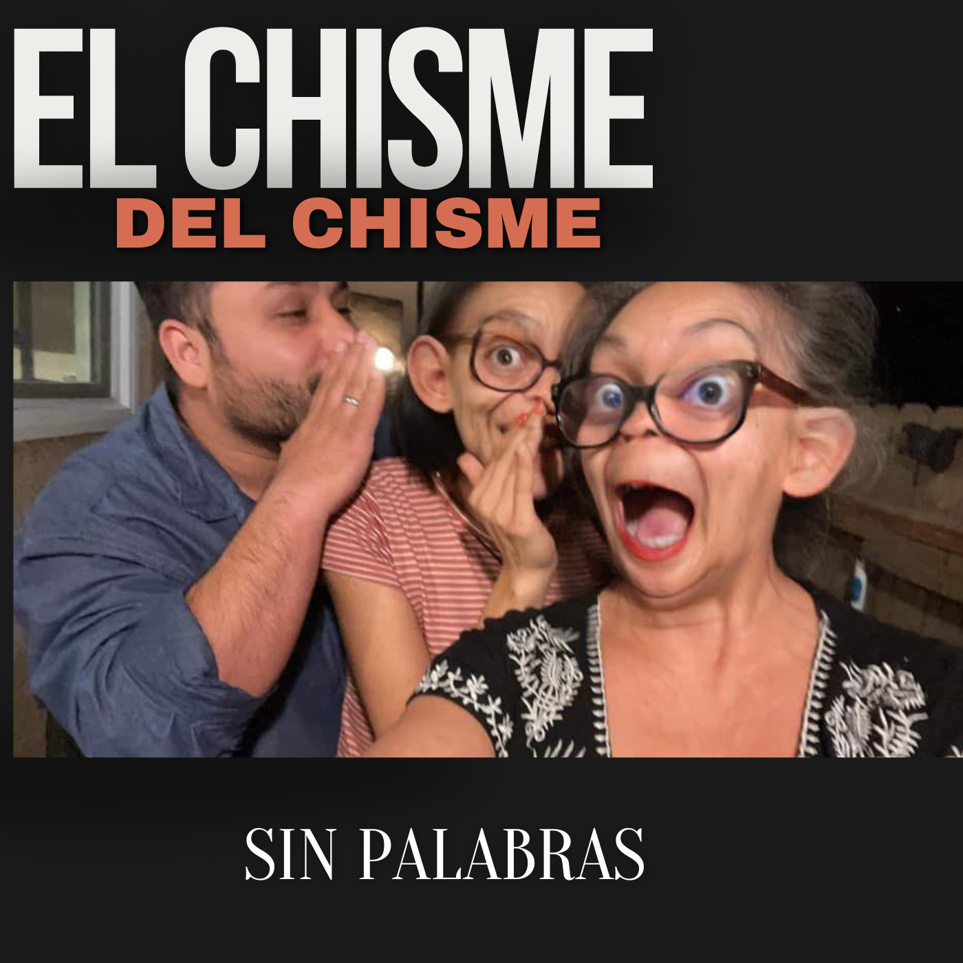 SIN PALABRAS  episode artwork