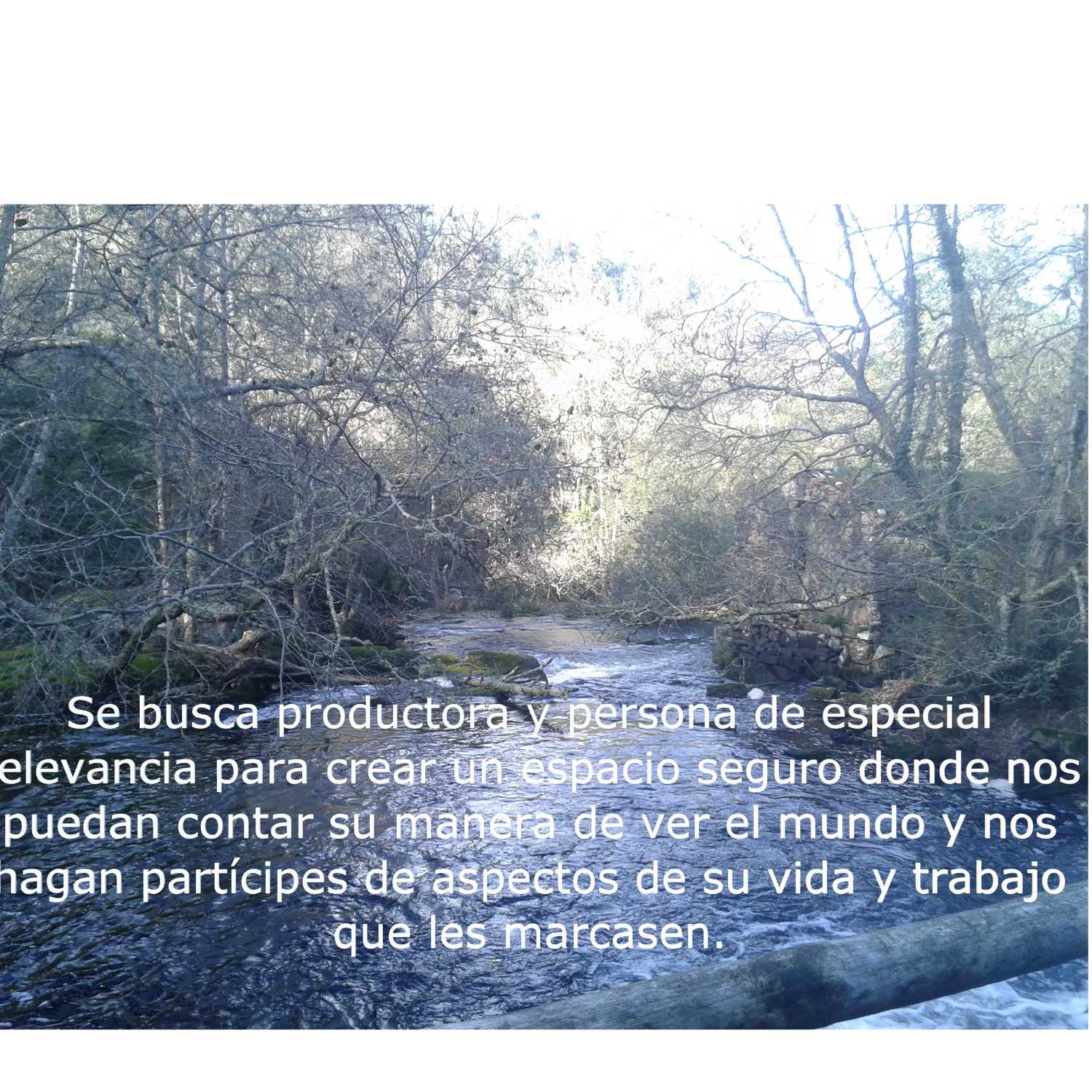 El Corrillo de Mayca.