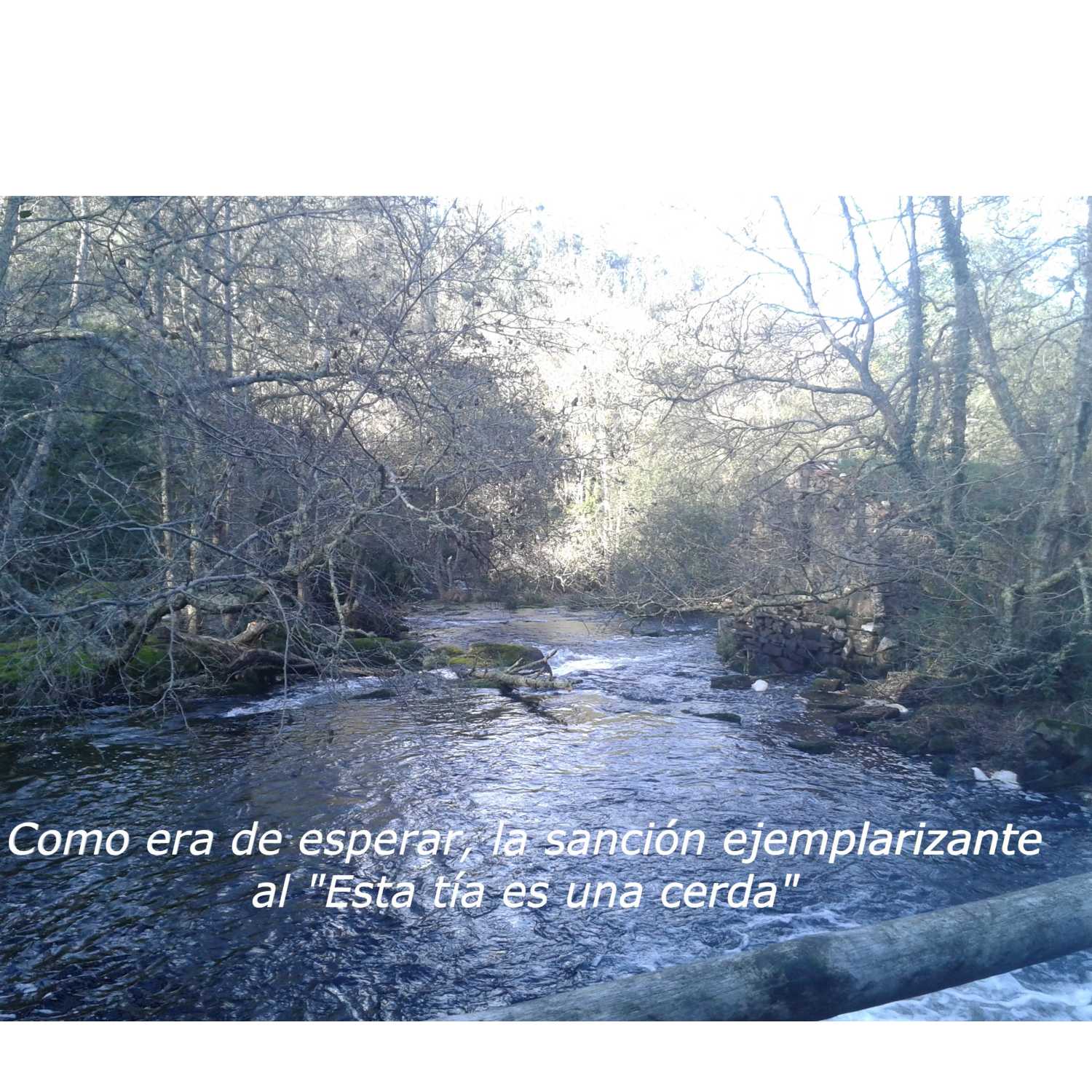El Corrillo de Mayca.