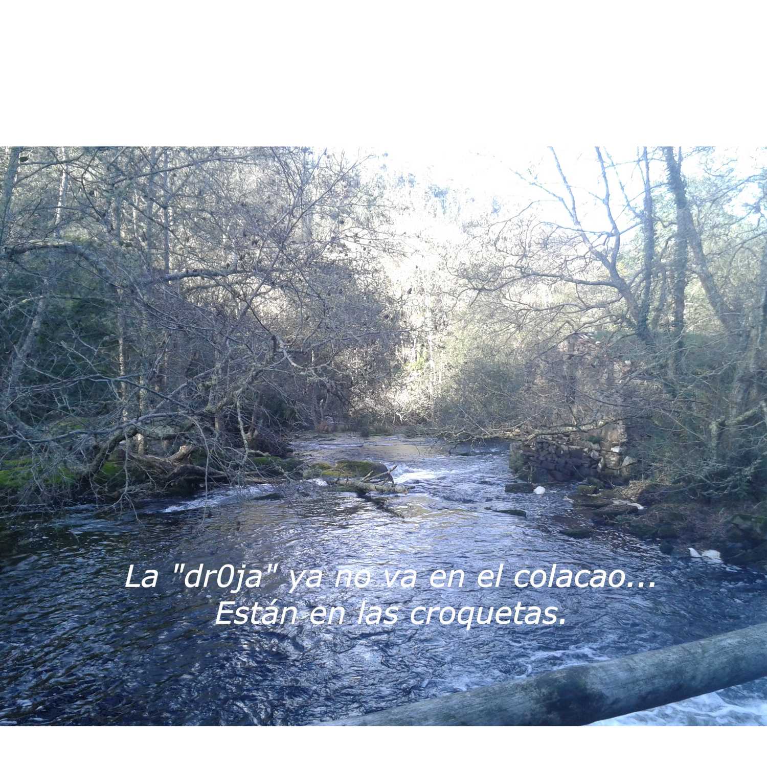El Corrillo de Mayca.