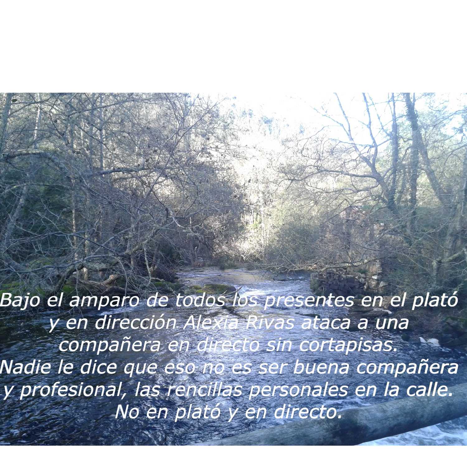 El Corrillo de Mayca.