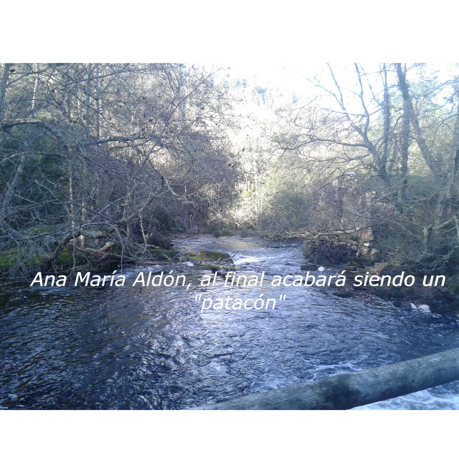 El Corrillo de Mayca.