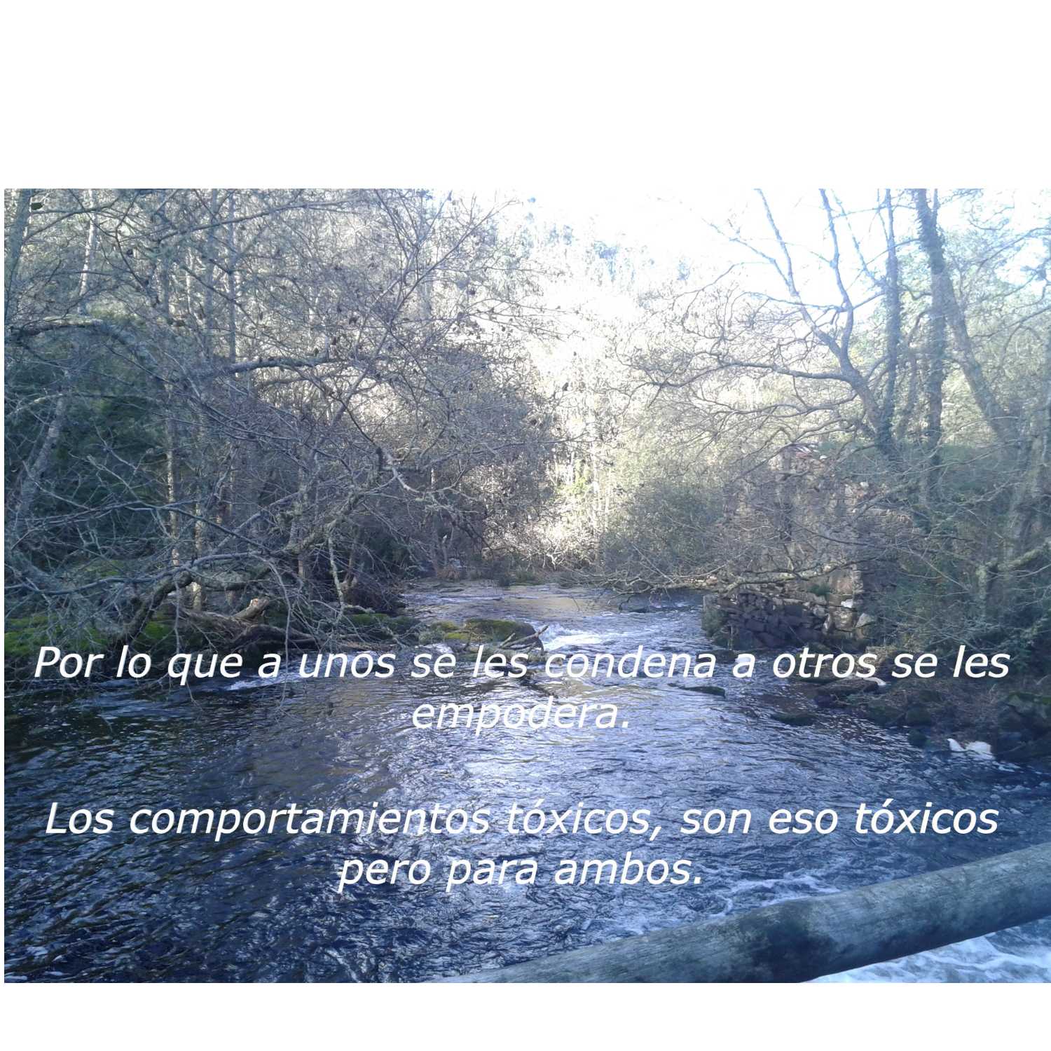 El Corrillo de Mayca.