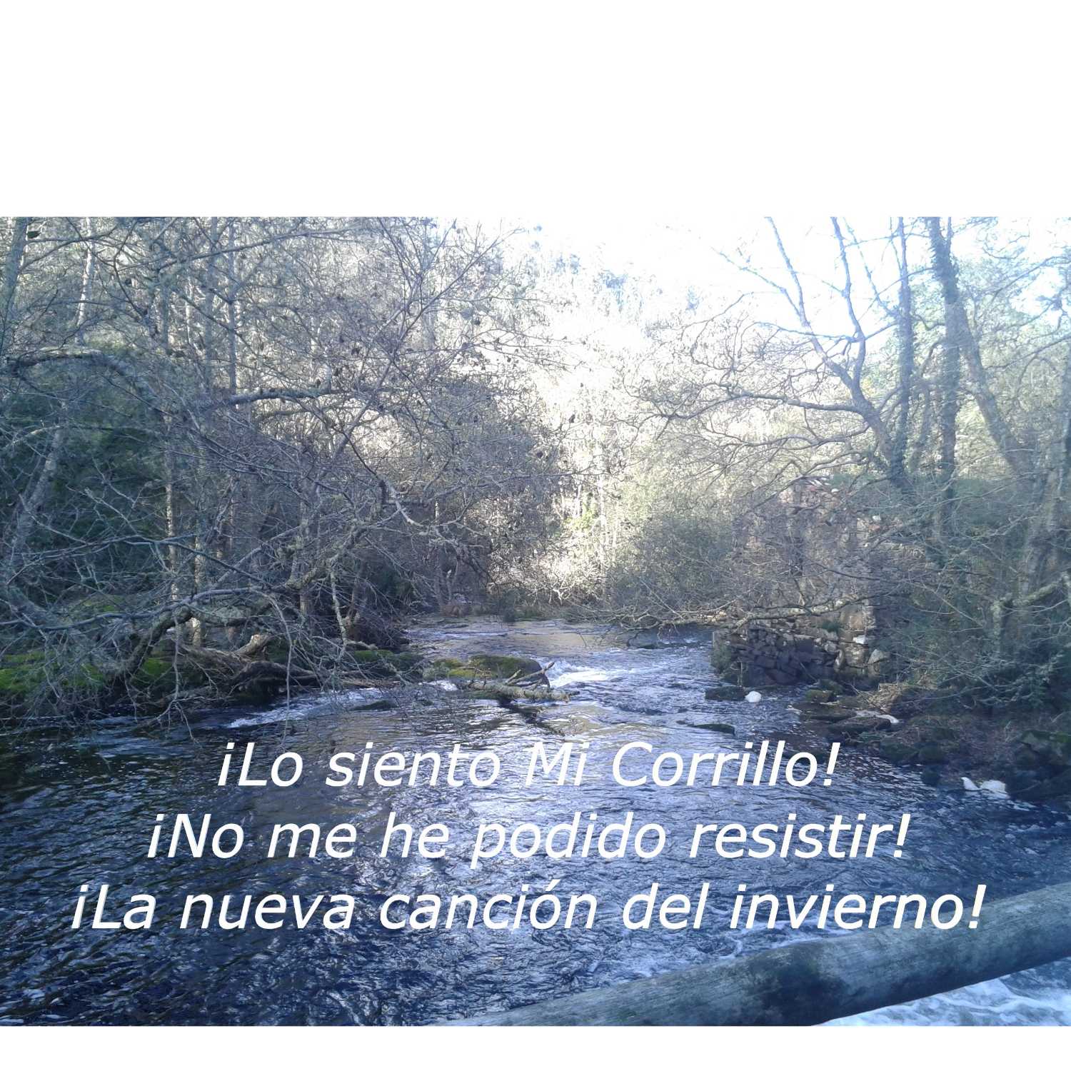 El Corrillo de Mayca.