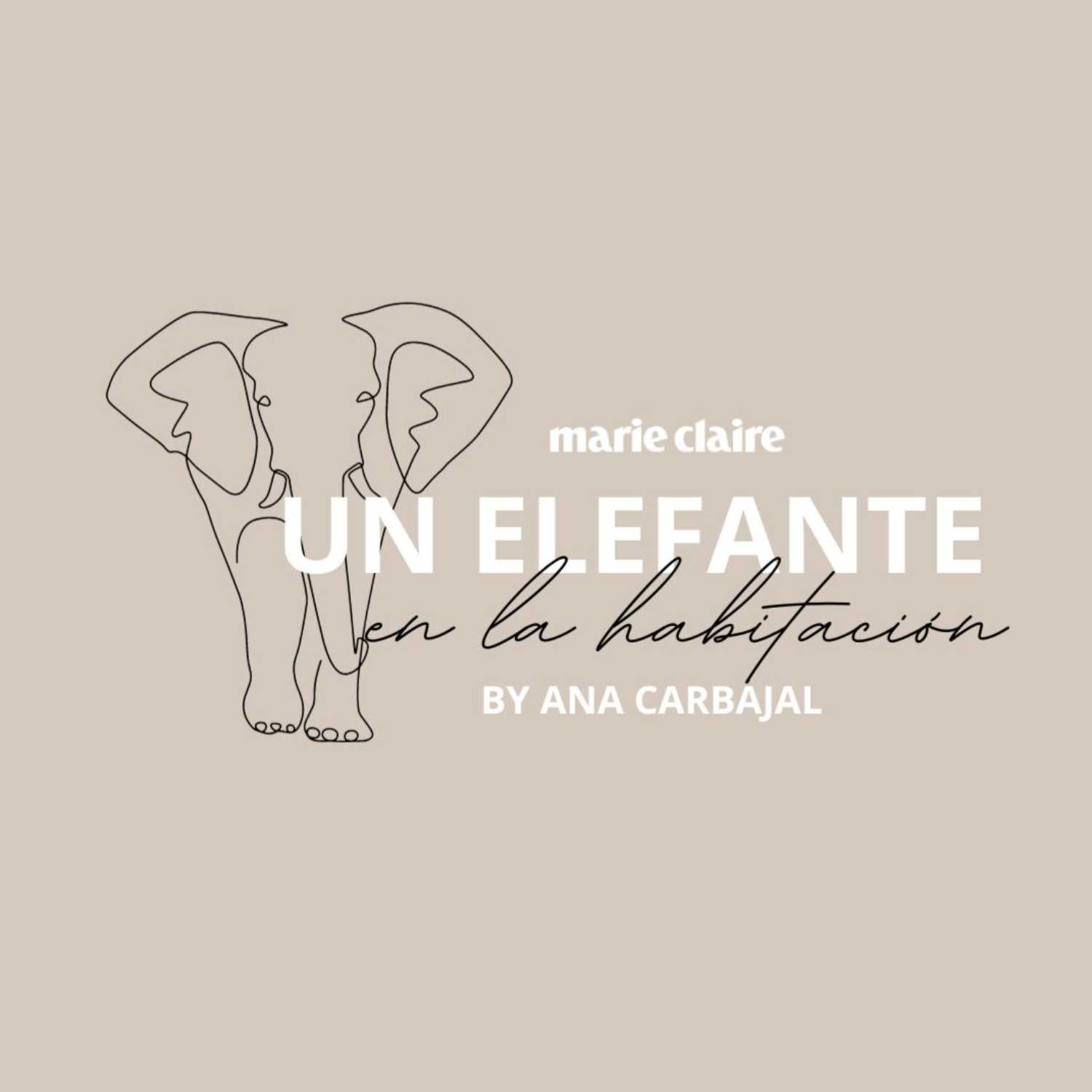 Un Elefante En La Habitación podcast artwork