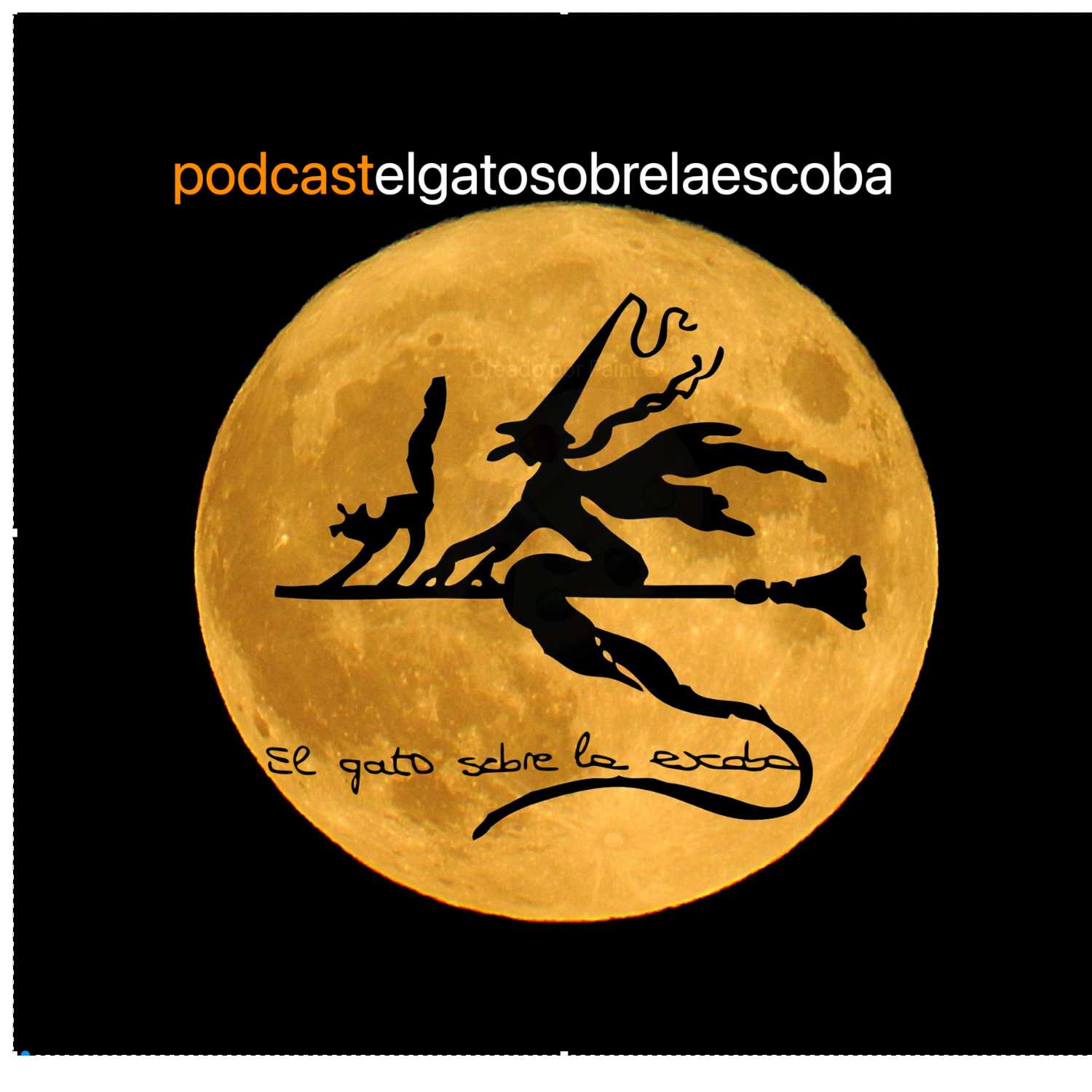 El gato sobre la escoba. Casas encantandas: Harrisville