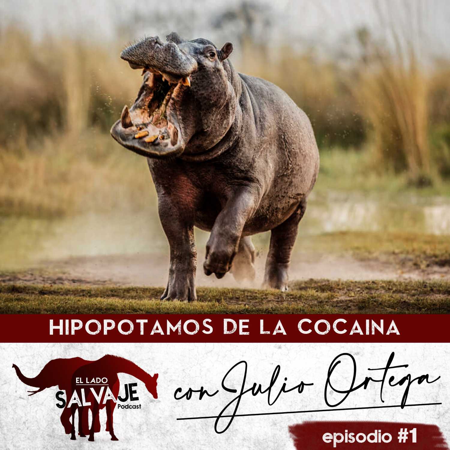 El Lado Salvaje